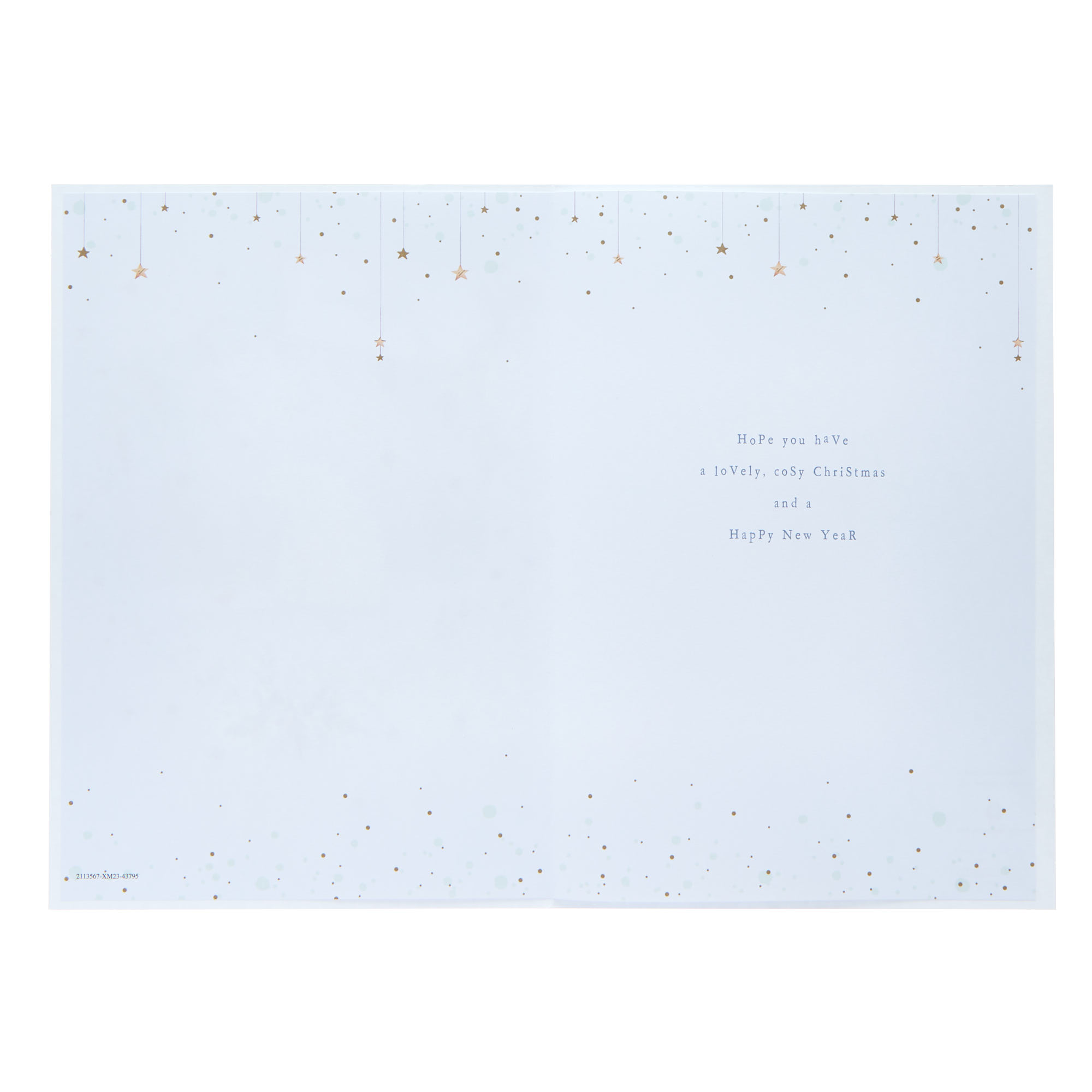 Mam Polar Bear & Robin Christmas Card