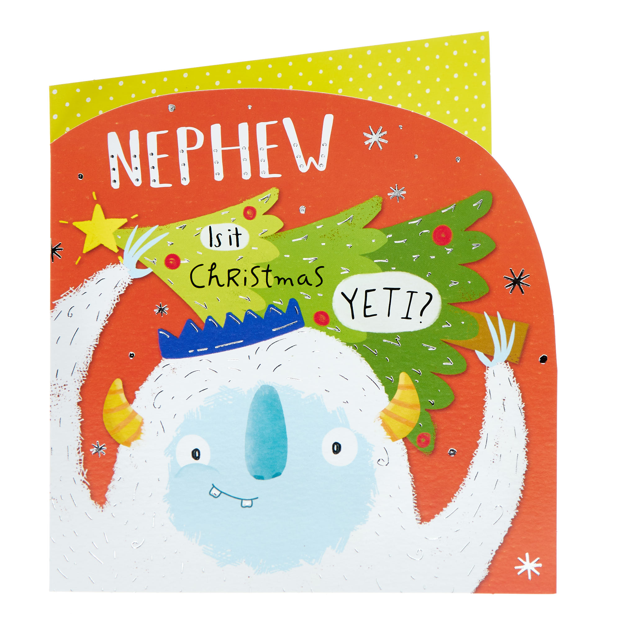 Nephew Yeti Christmas Card