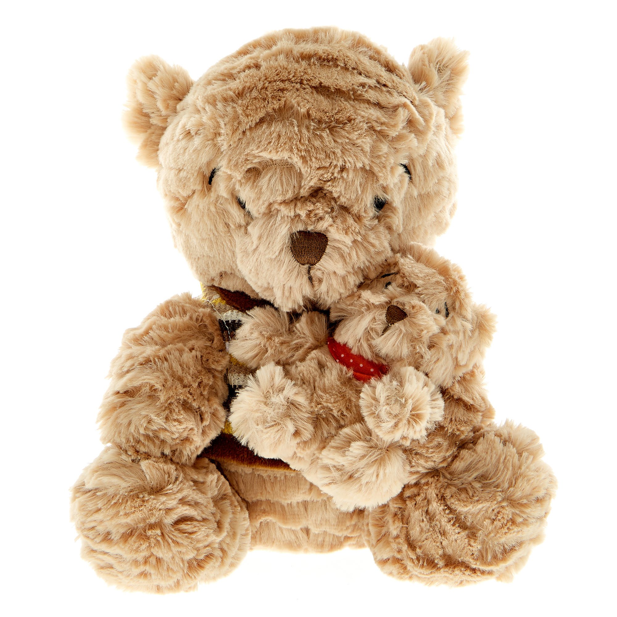 Daddy & Mini Bear Soft Toy 