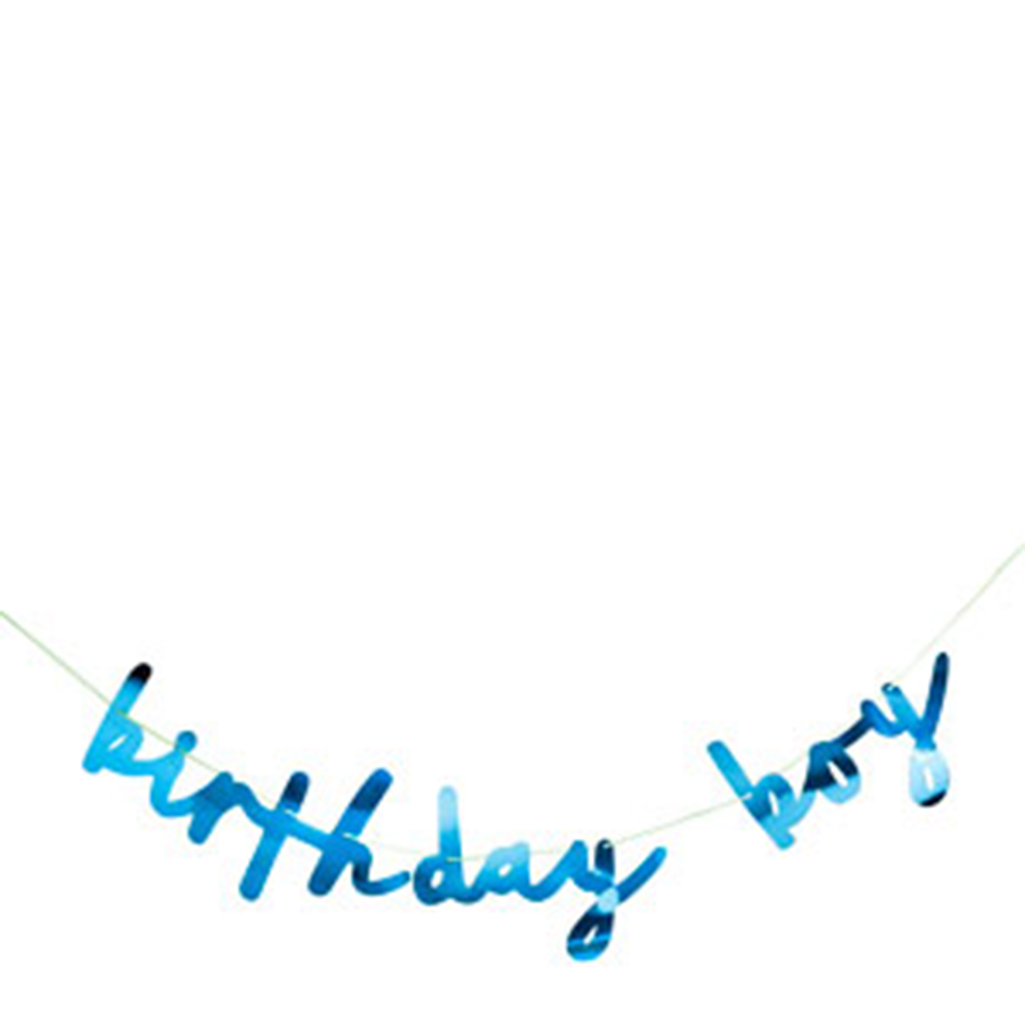 Blue Birthday Boy Script Party Banner 
