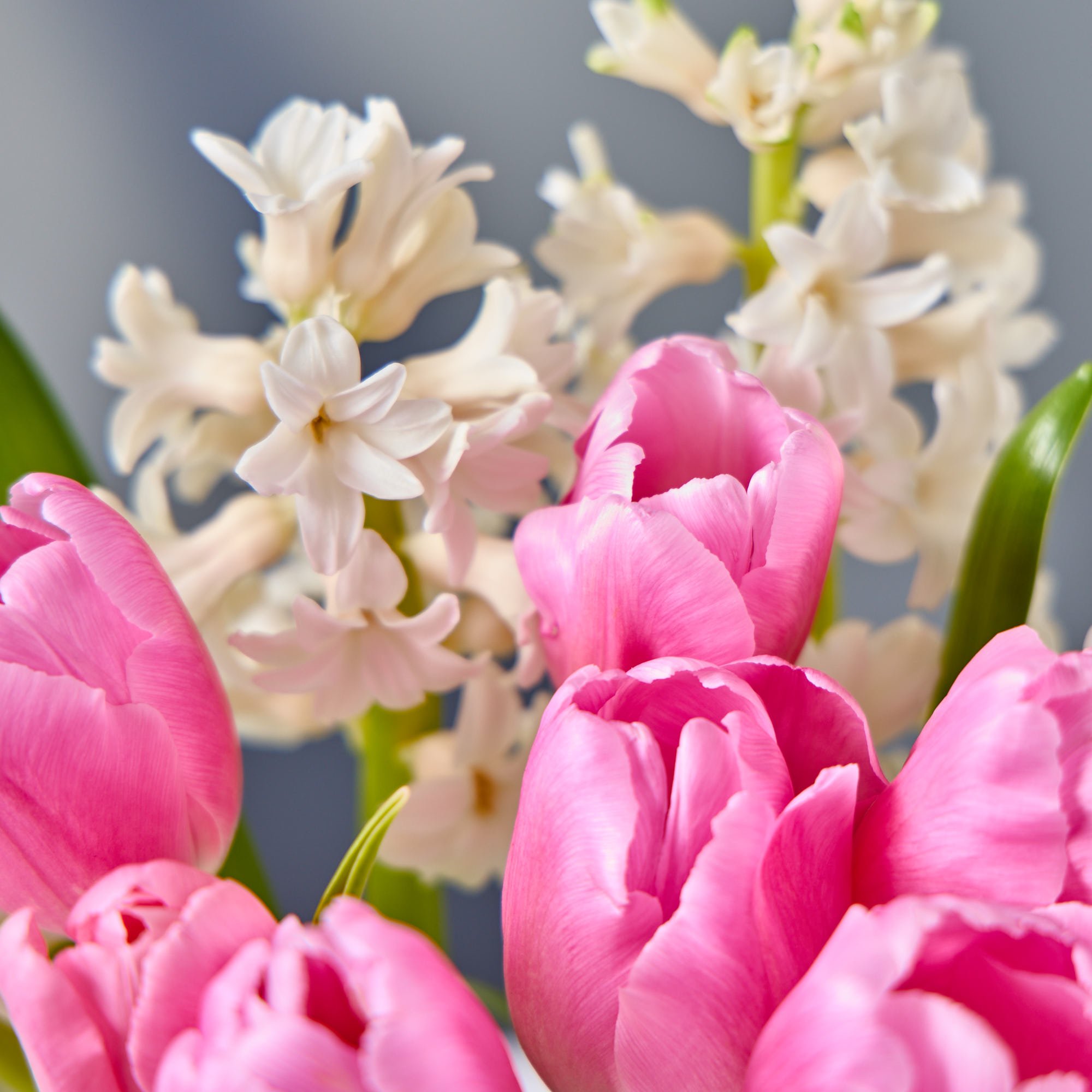 Blossoming Gifts Hyacinths & Tulips Flower Bouquet - Free Delivery!