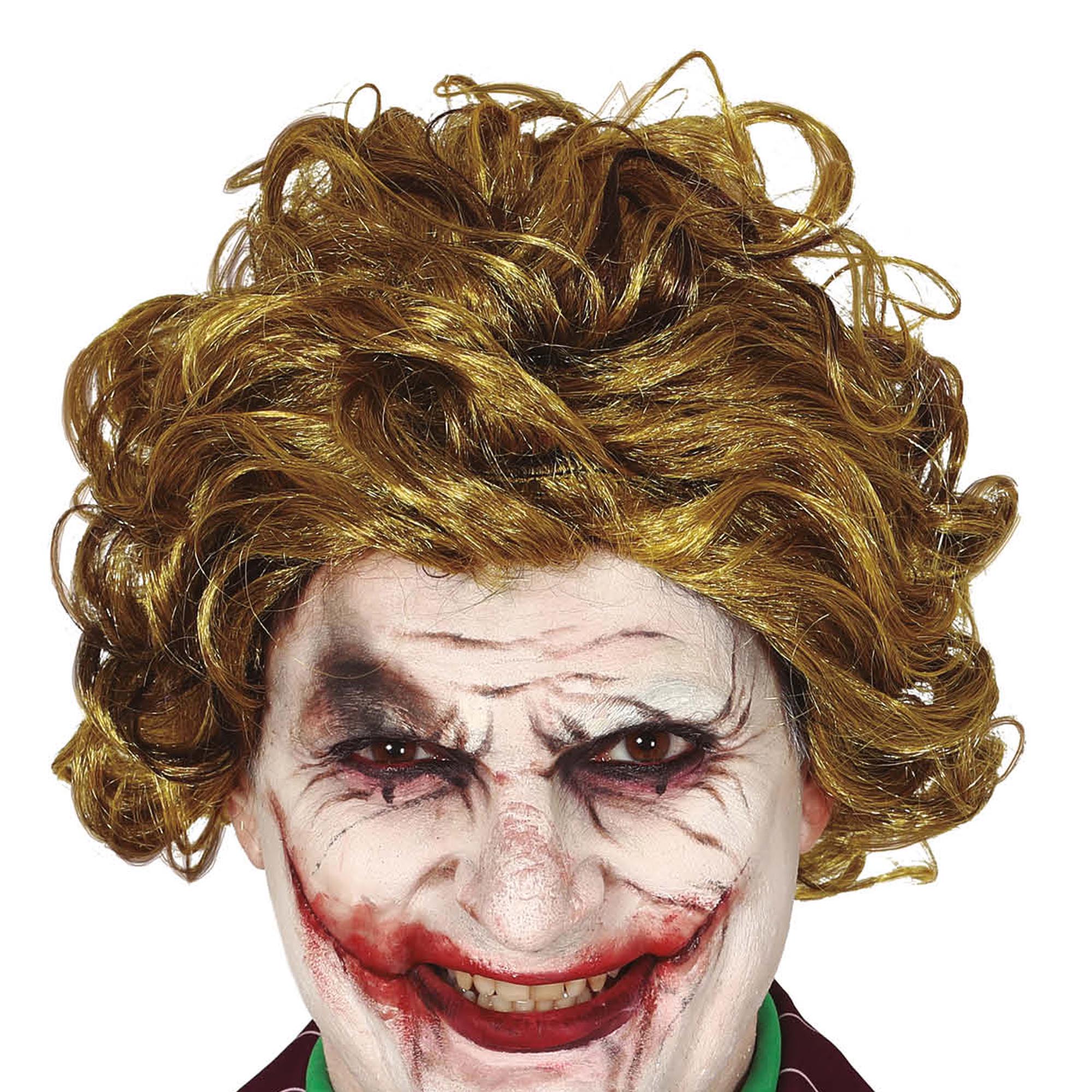 Fancy Dress Smiling Clown Hair Wig 