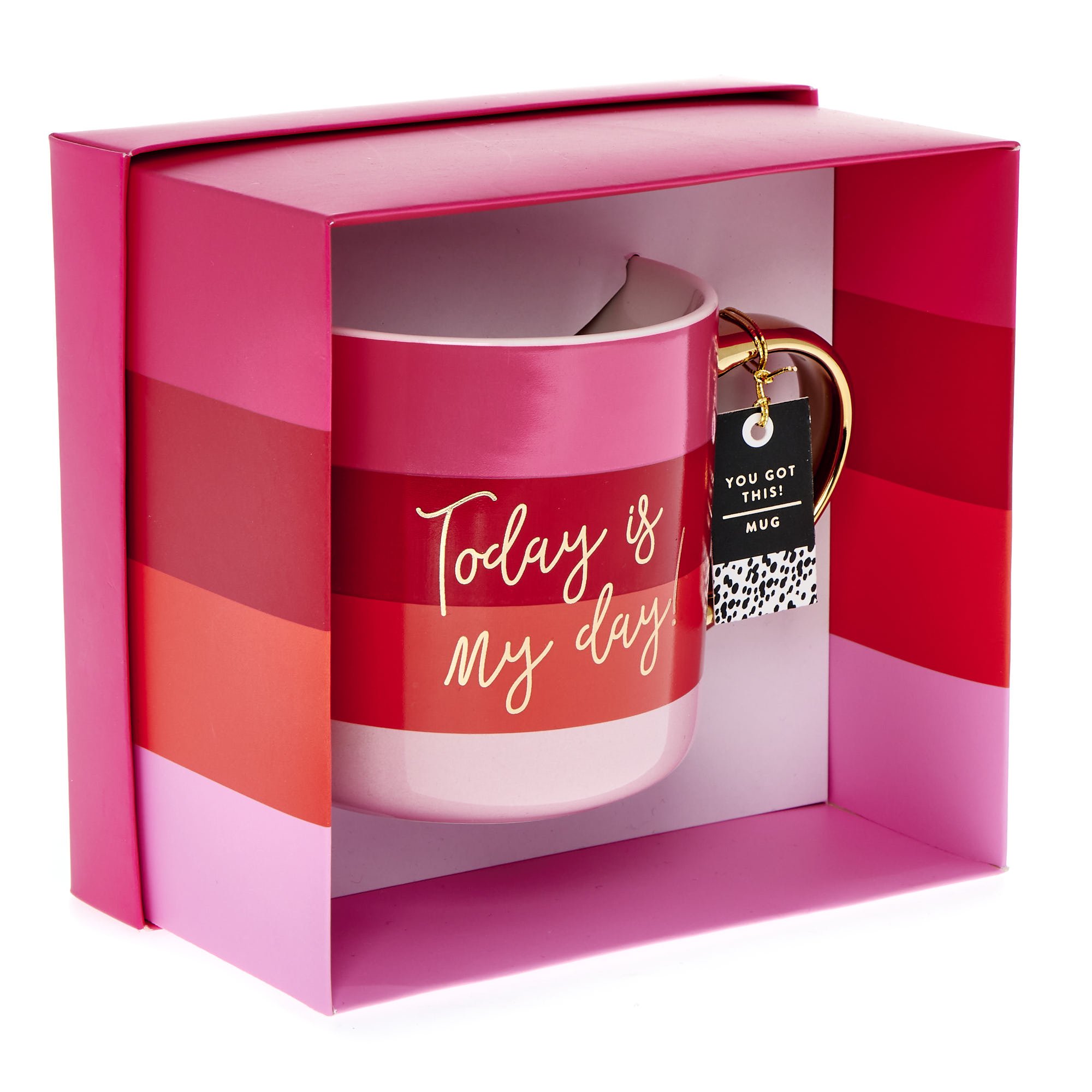 Today Is My Day Mug