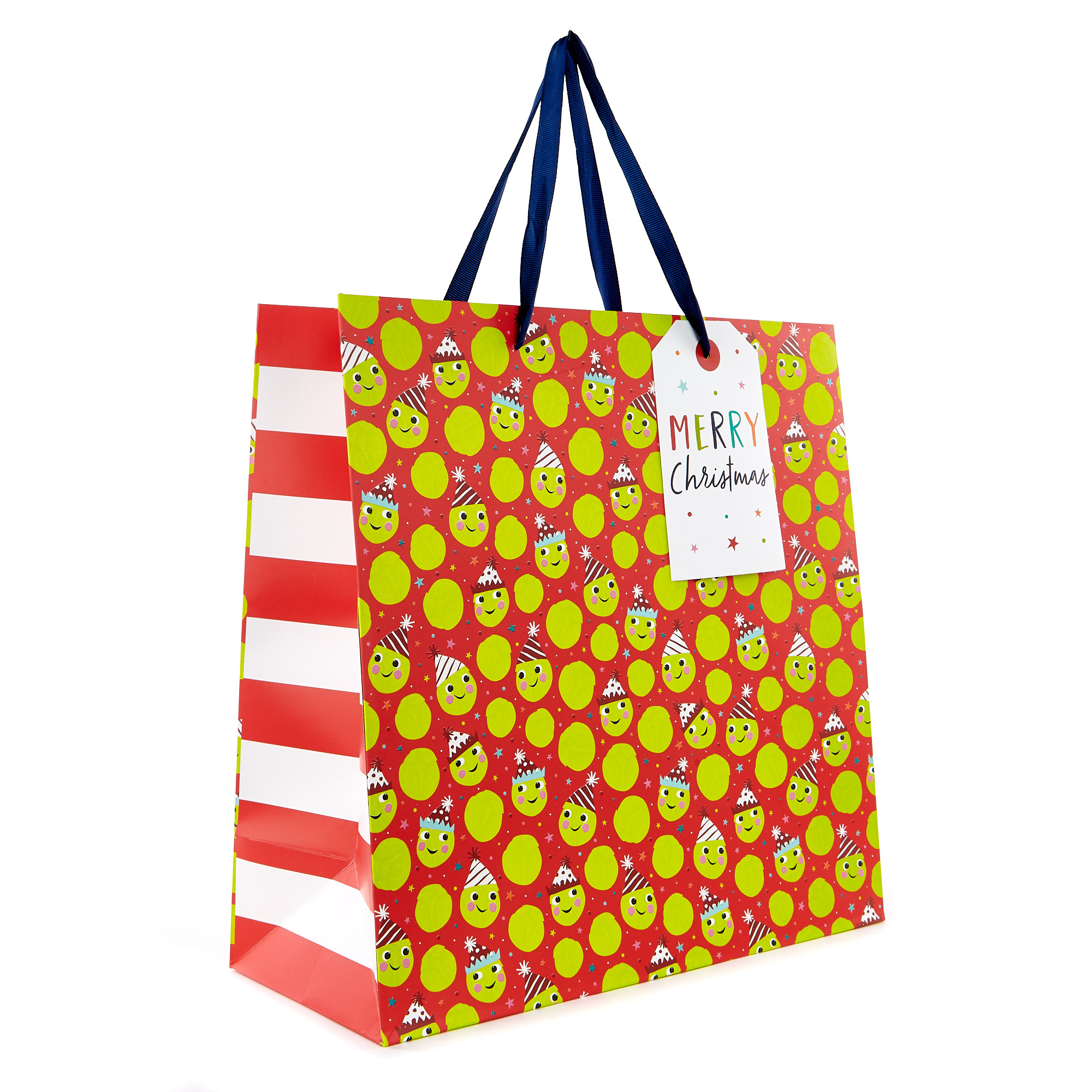 Large Square Sprouts Christmas Gift Bag