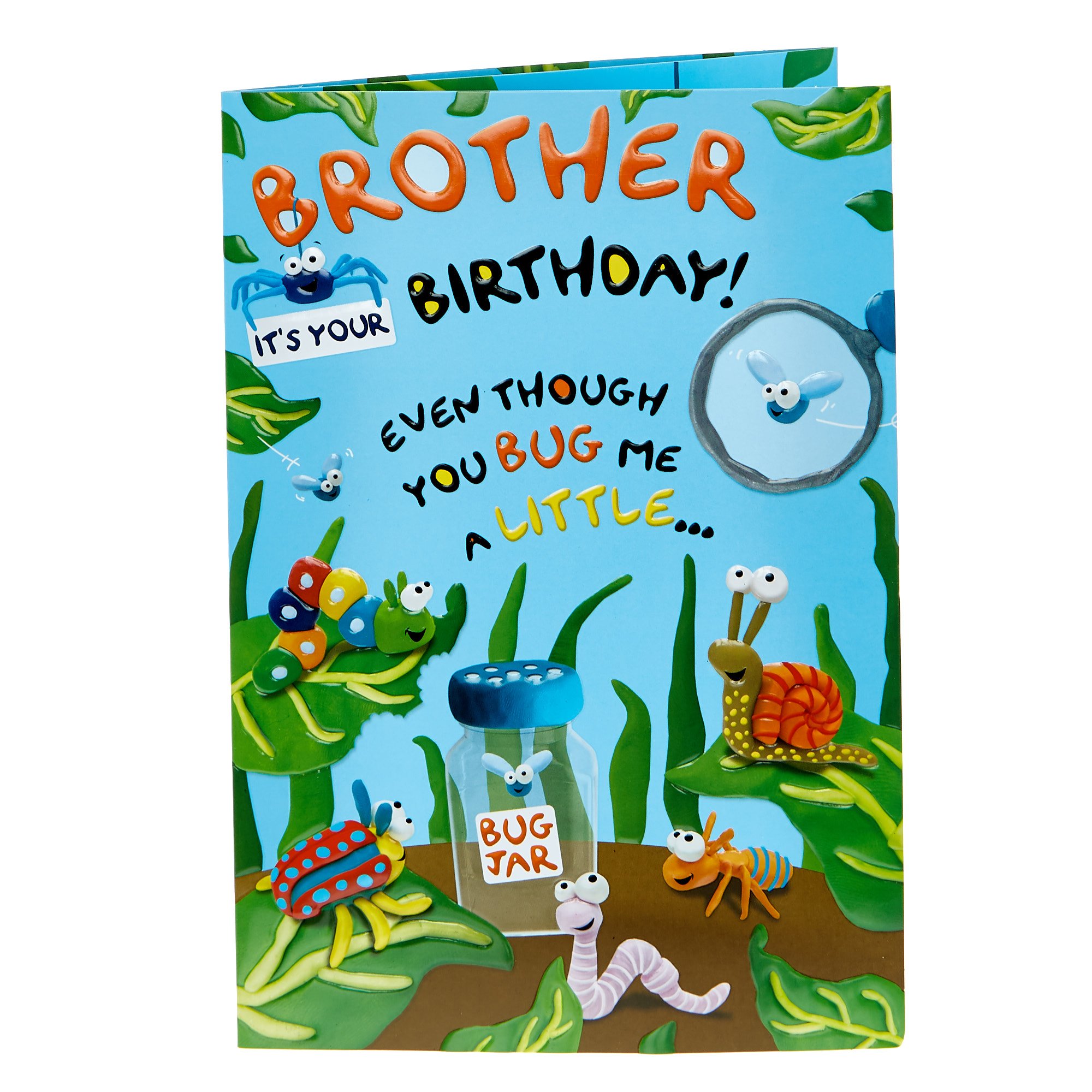 Birthday Card - Brother Garden Bugs