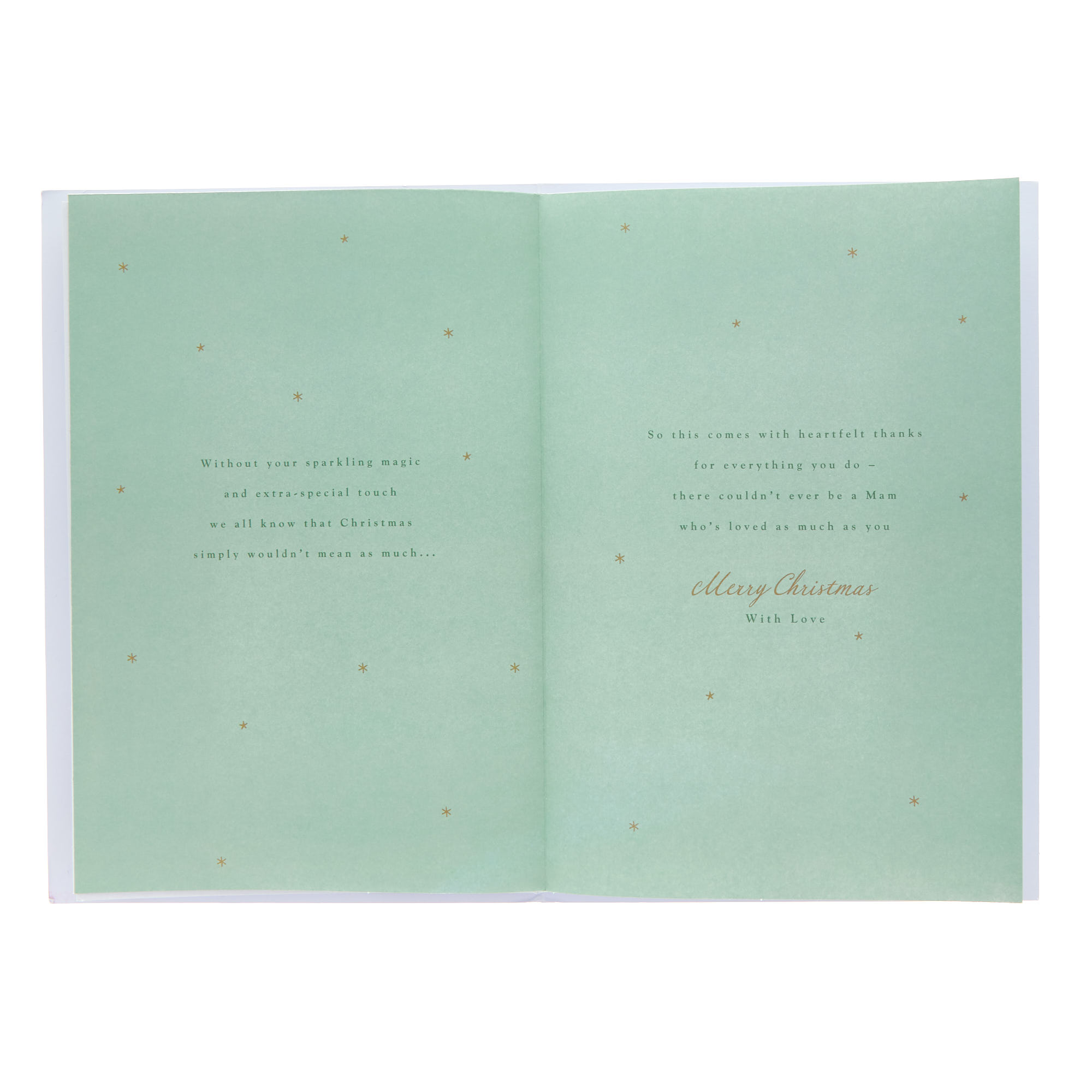 Mam Red Sleigh Christmas Card - Extra-Special Words Inside!