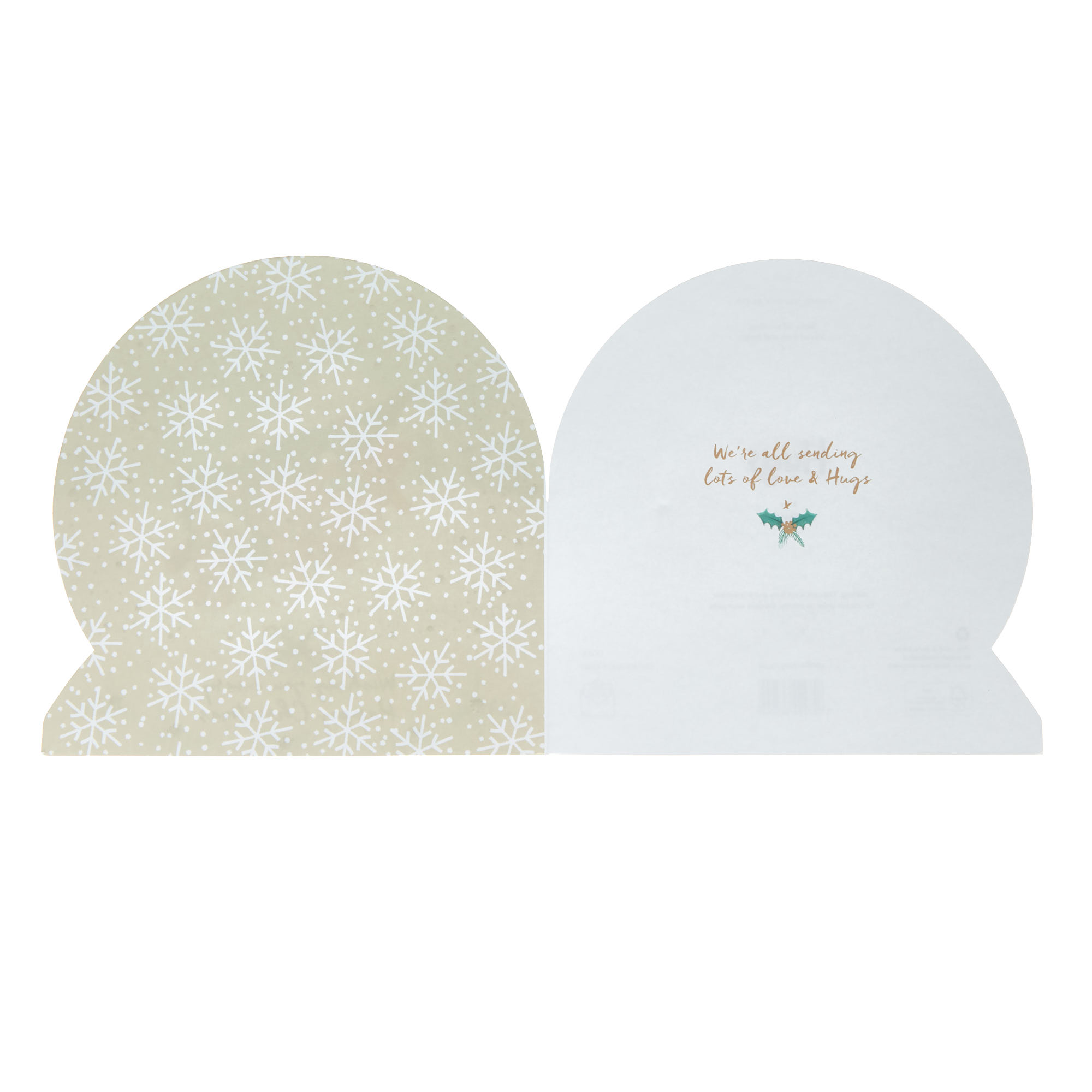 From All The Family Hugs Snowglobe Christmas Card