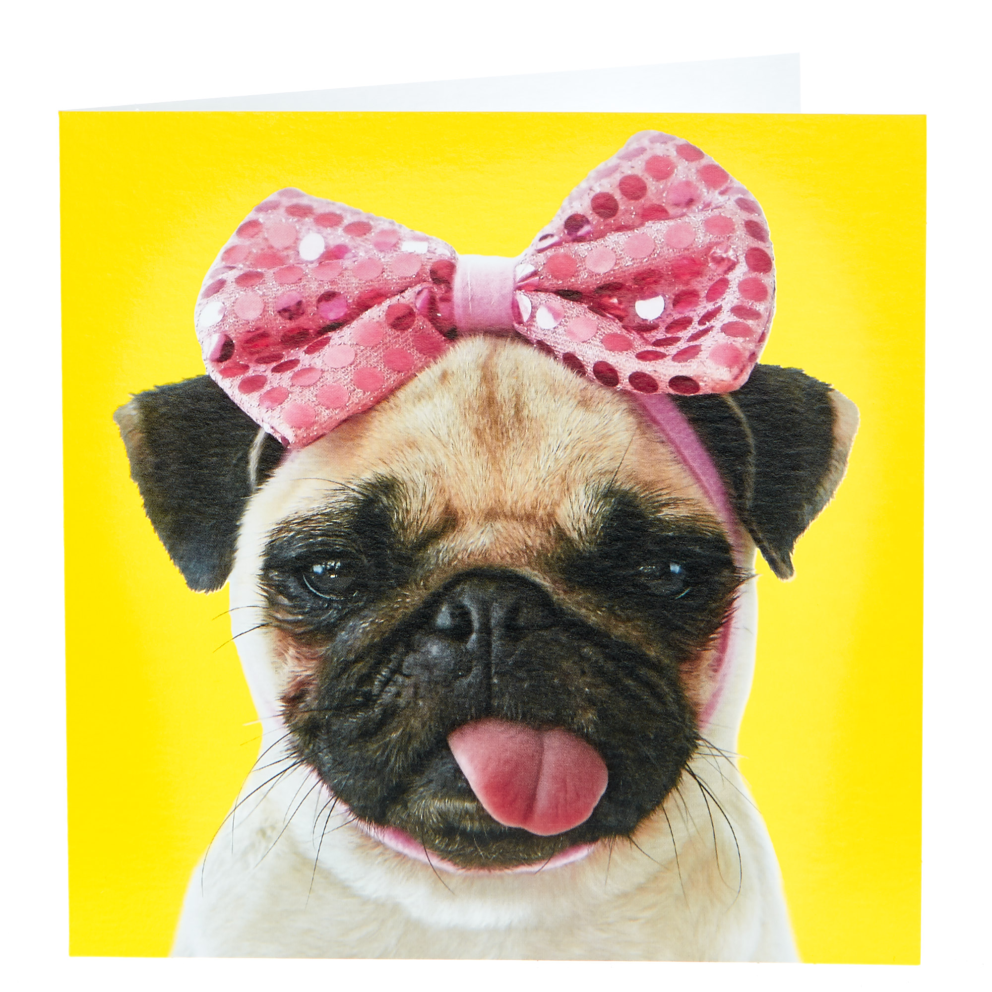 Any Occasion Card - Cute Pug