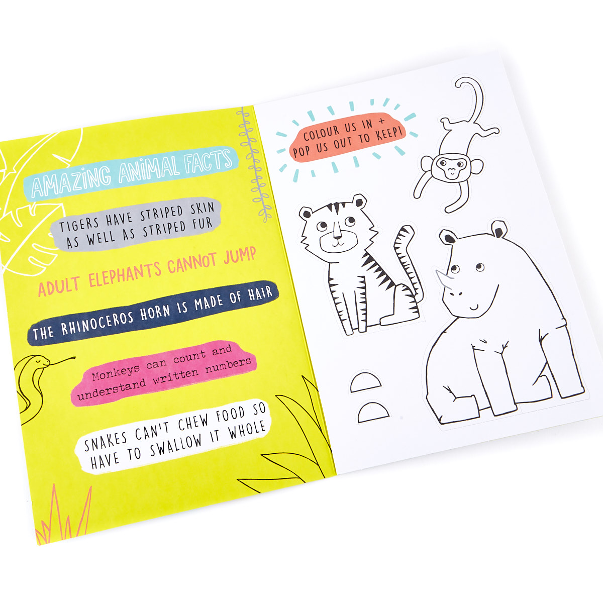 Colour-In 4th Birthday Card - Wild Animal Facts