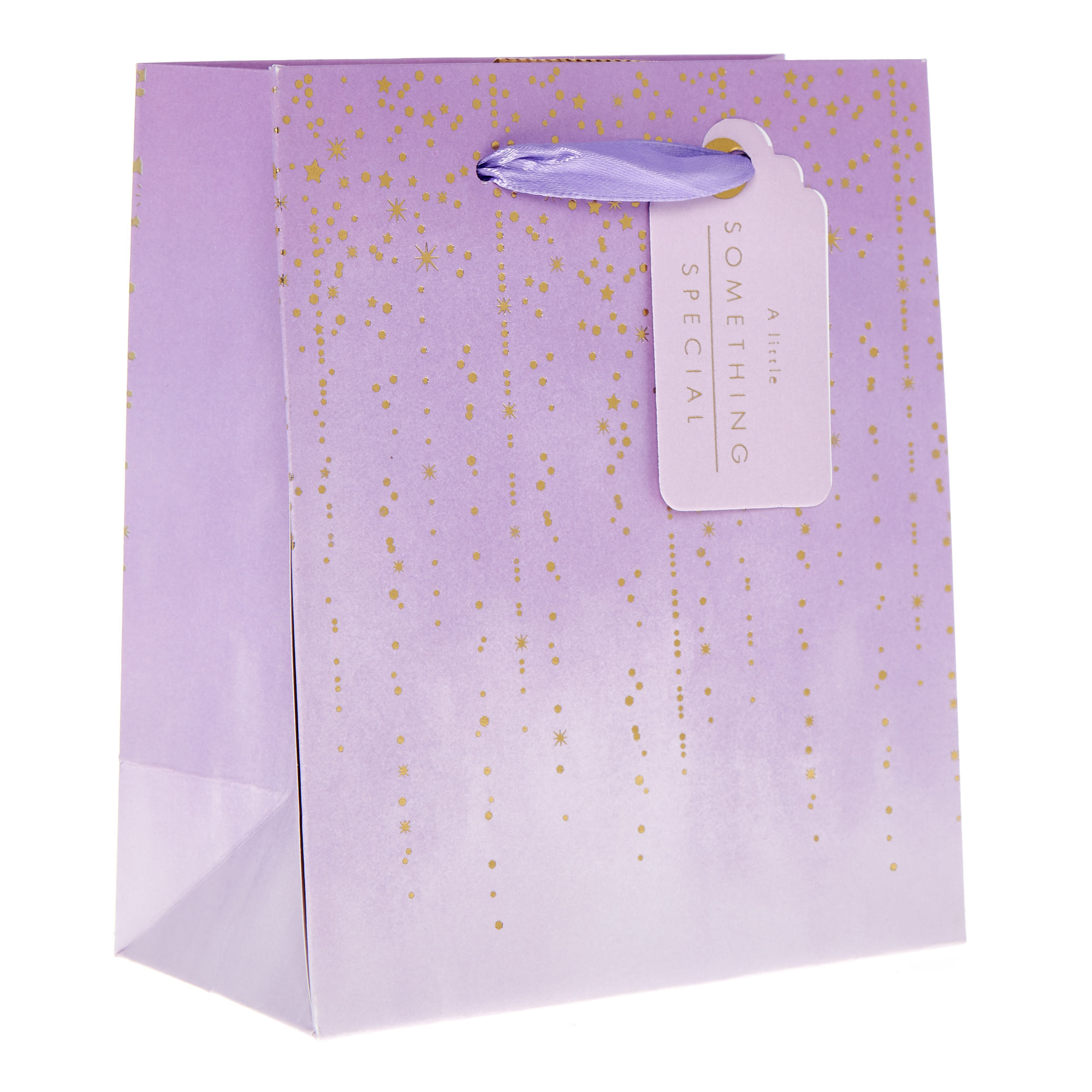 Image of Small Portrait Gift Bag | Floral Pattern Design | Card and Ribbon Material | Perfect for Small Gifts | Dimensions 22.4cm x 19cm x 9cm