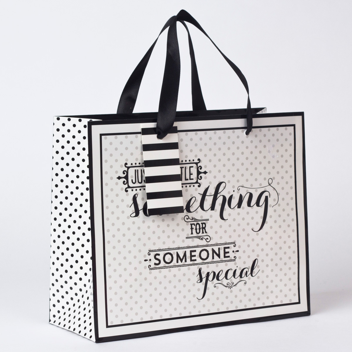 Medium Landscape Black & White Someone Special Gift Bag