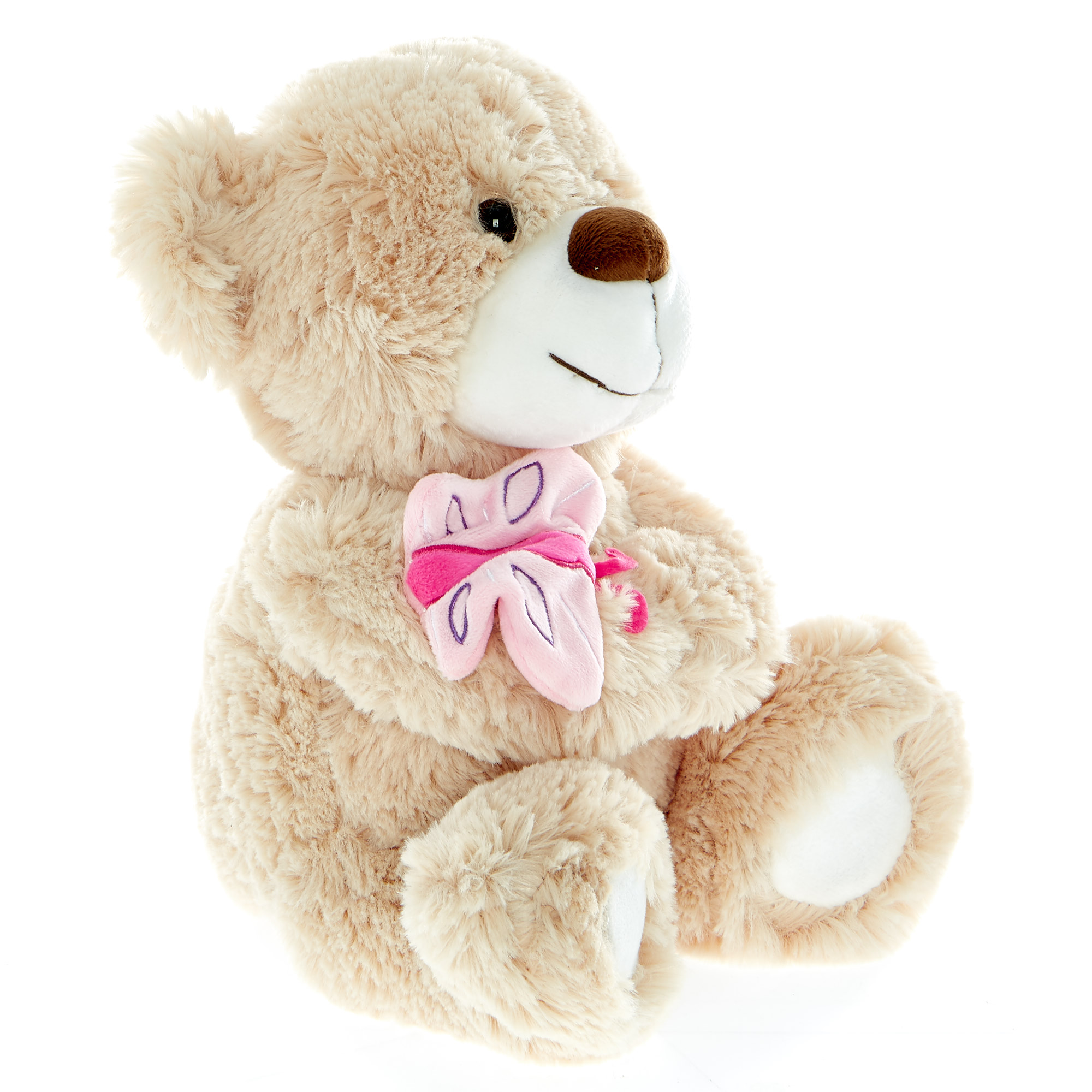 Bear With Butterfly Soft Toy 