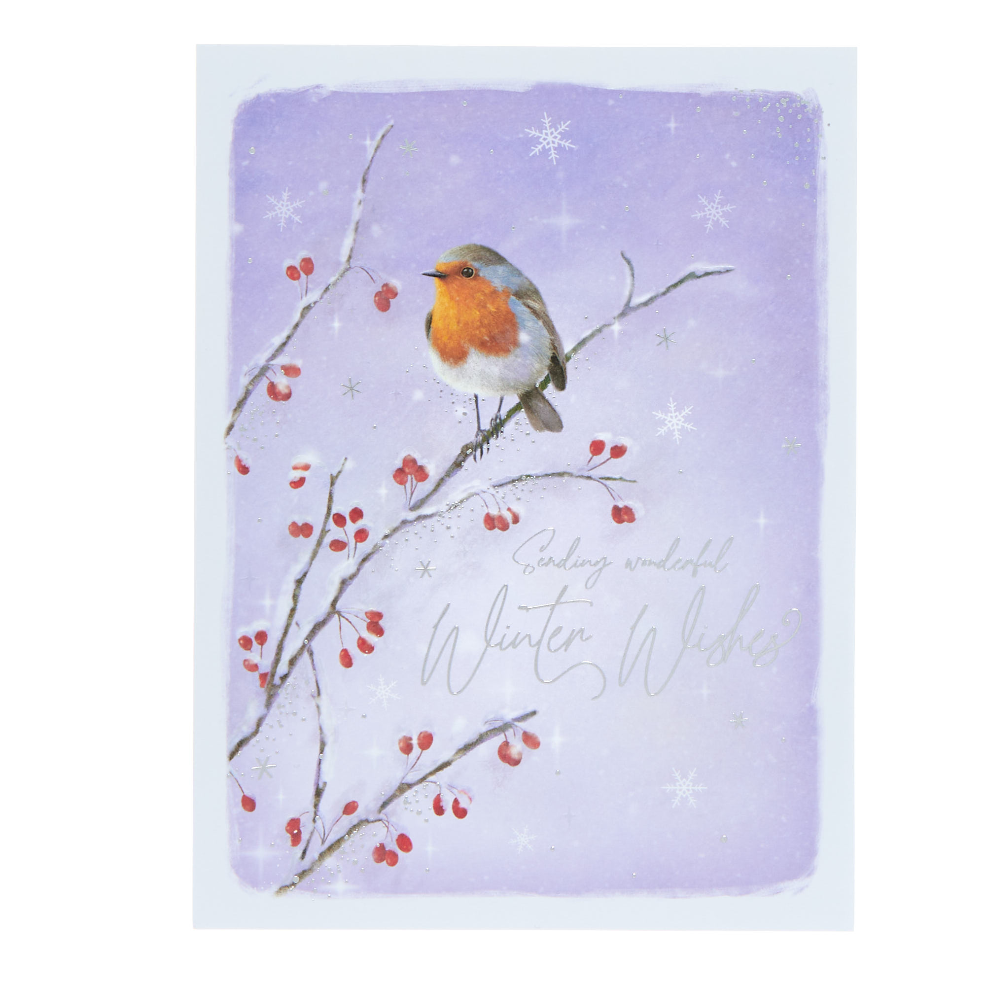 10 Deluxe Boxed Charity Christmas Cards - Robin & Stag (2 Designs)