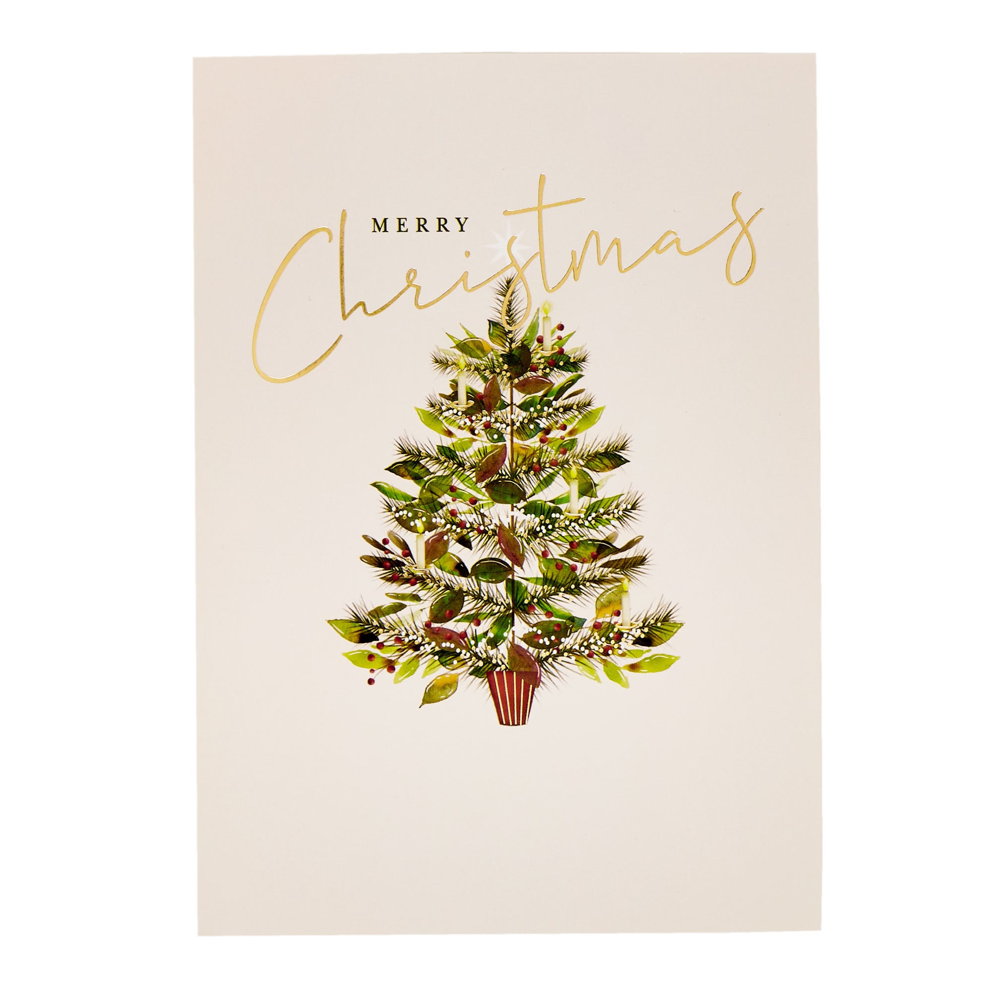 10 Portrait Tree Charity Christmas Cards