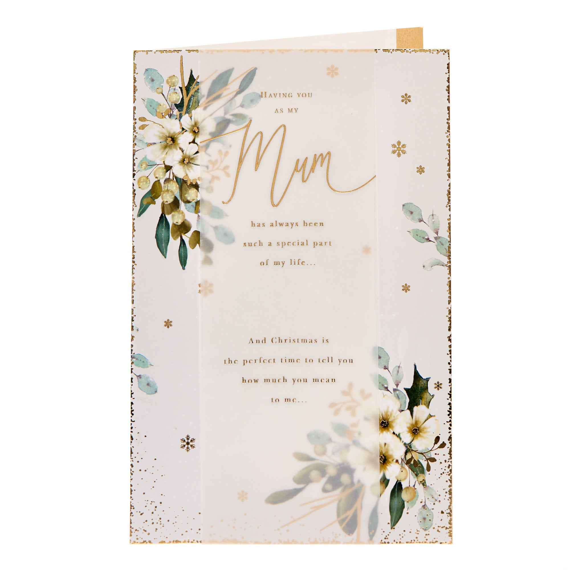 Buy Mum How Much You Mean To Me Premium Christmas Card for GBP 2.99