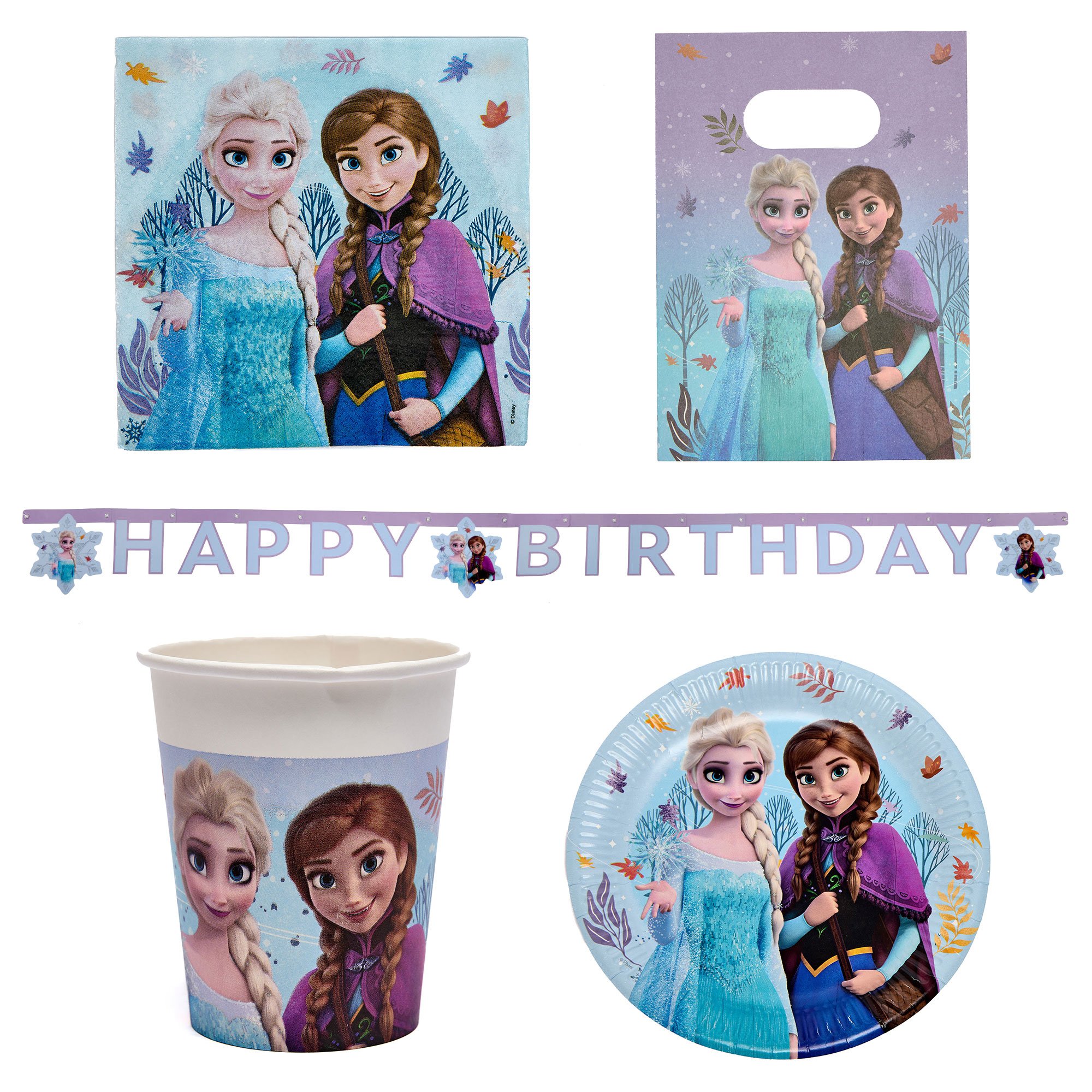 Frozen Idyllic Wonder Birthday Party Tableware & Decoration Bundle - 16 Guests 