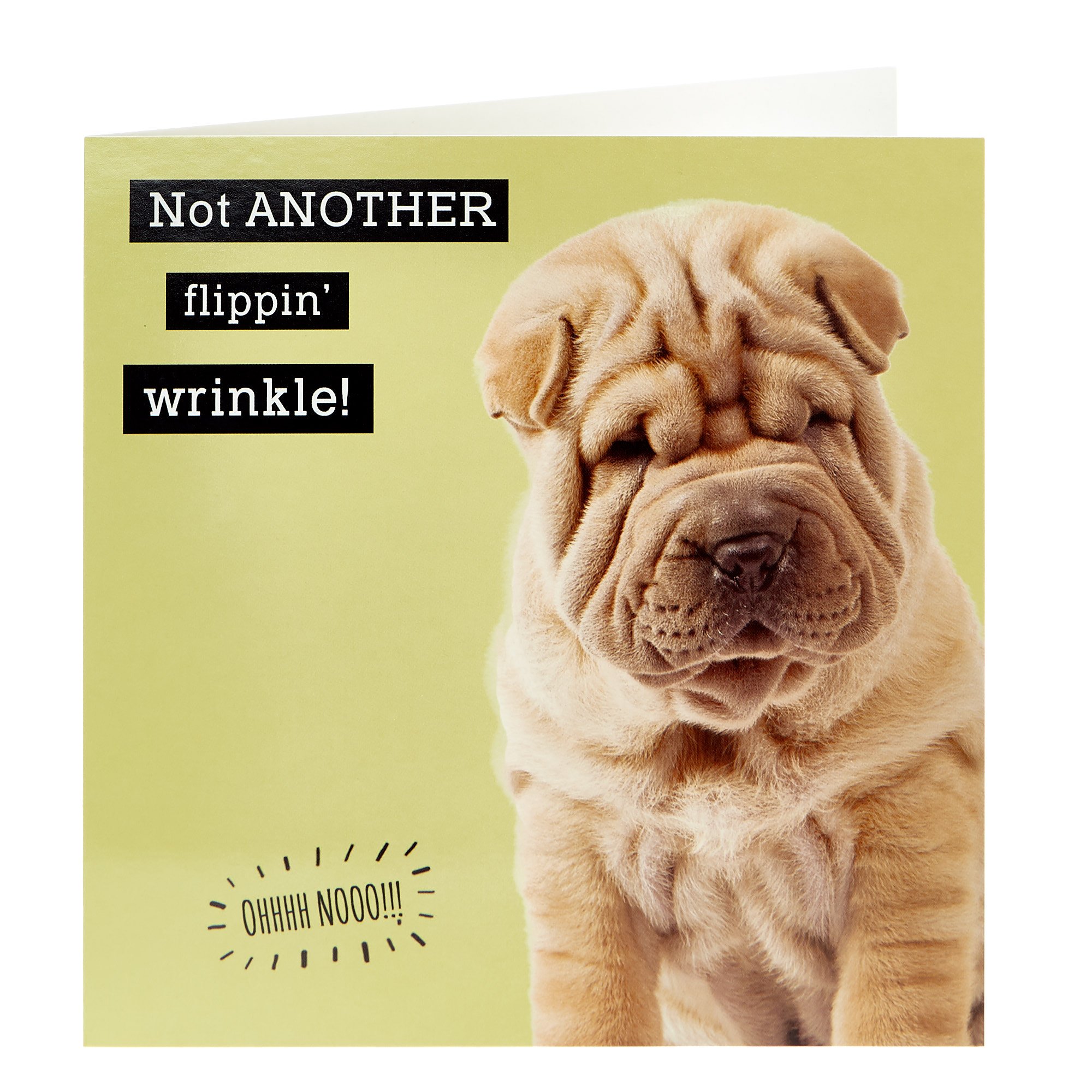 Birthday Card - Not Another Flippin' Wrinkle!