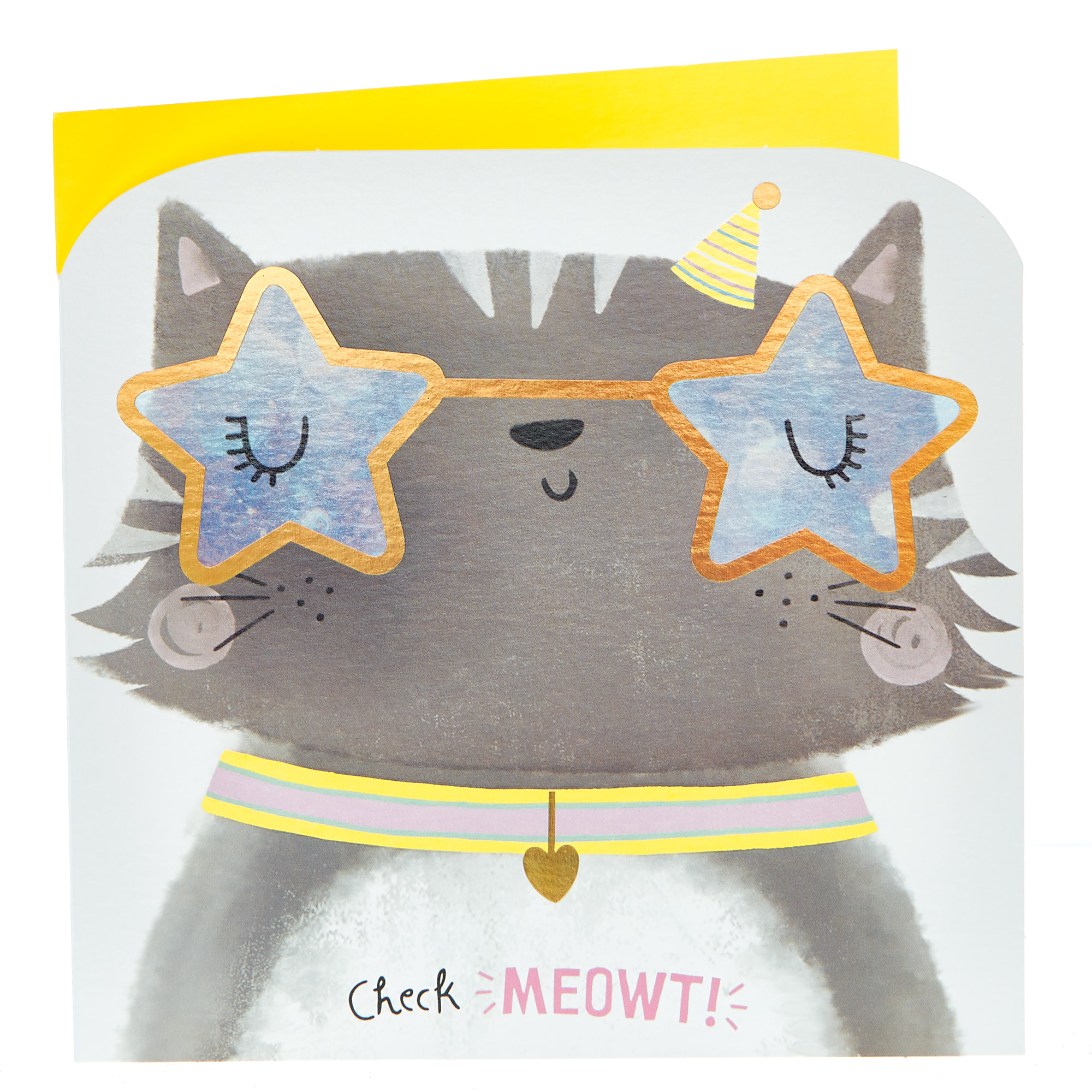 Birthday Card - Check Meowt!