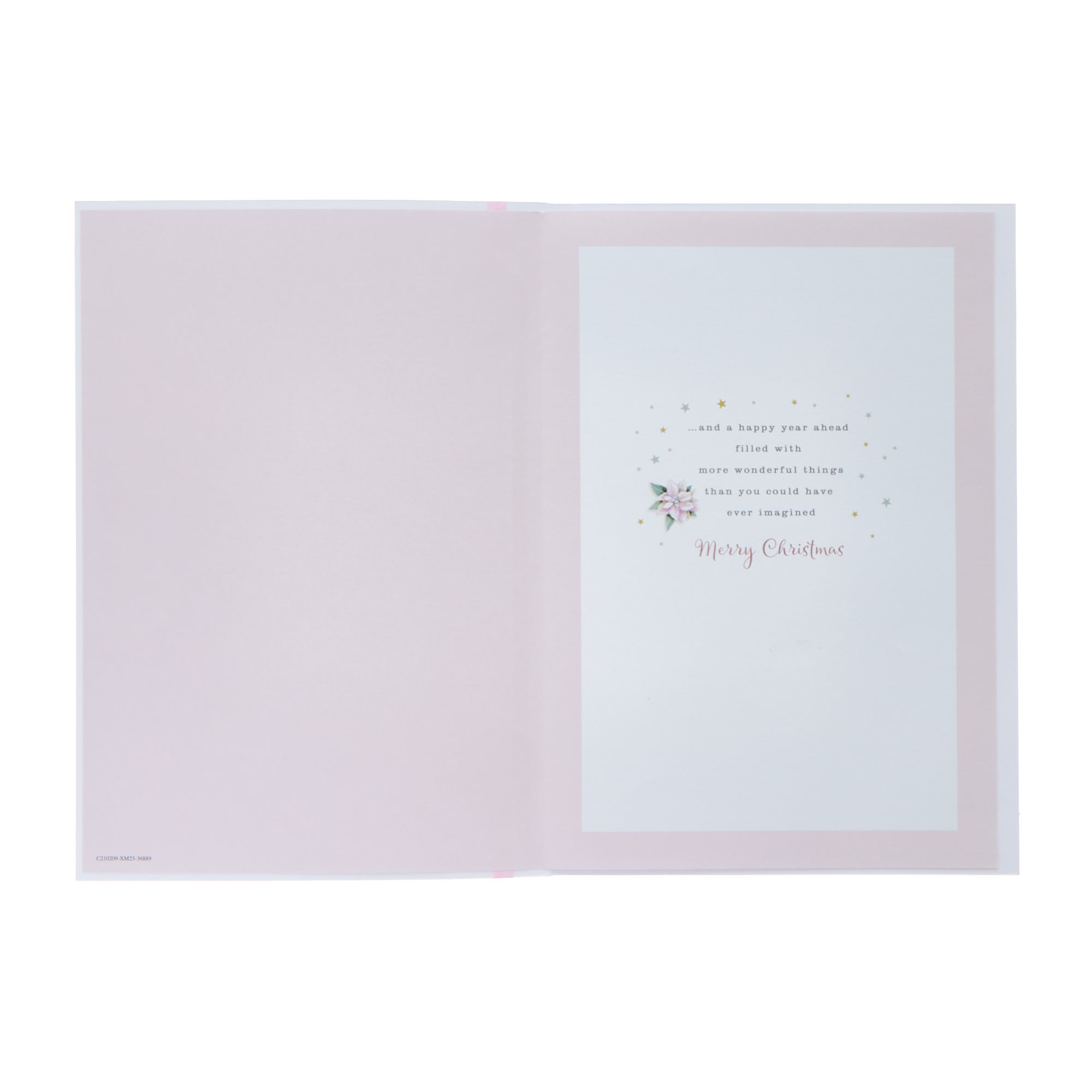 Friend Magical Swan Christmas Card