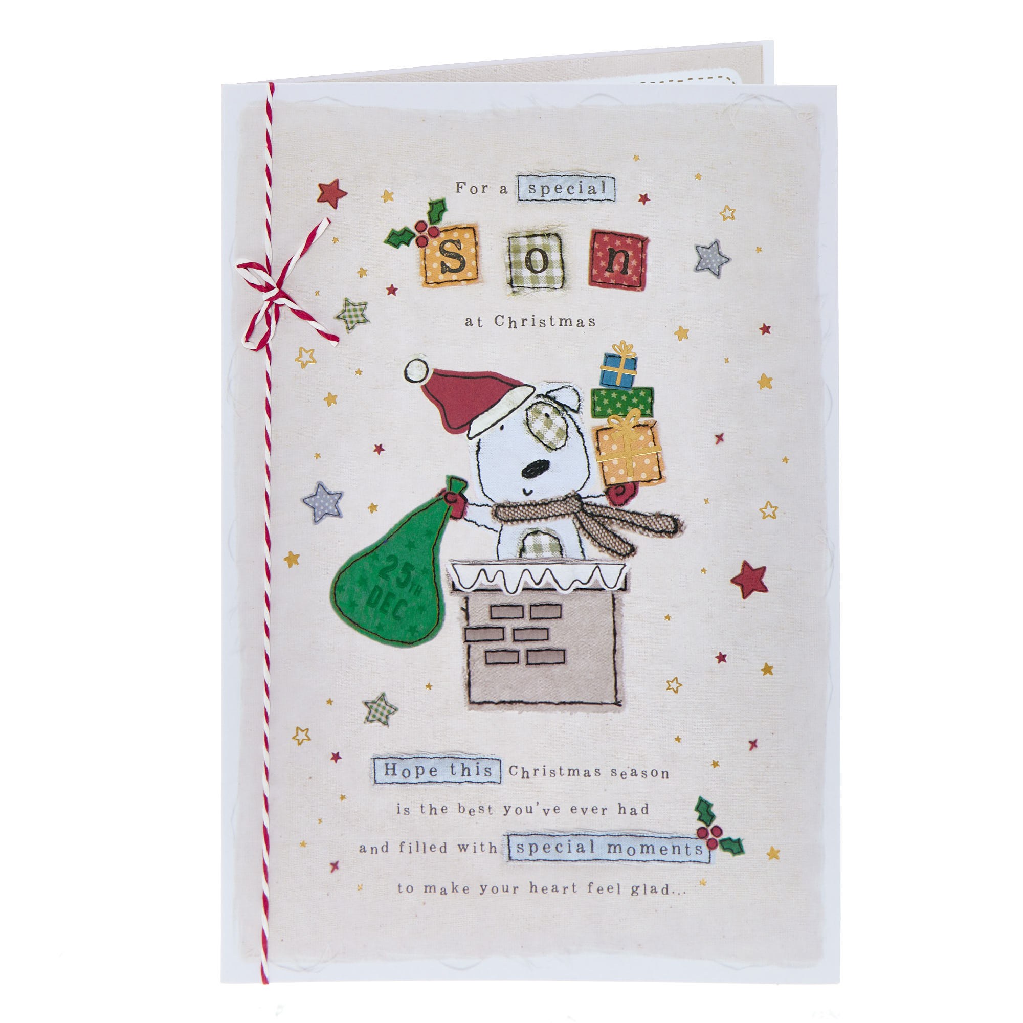 Son Dog in a Chimney Christmas Card