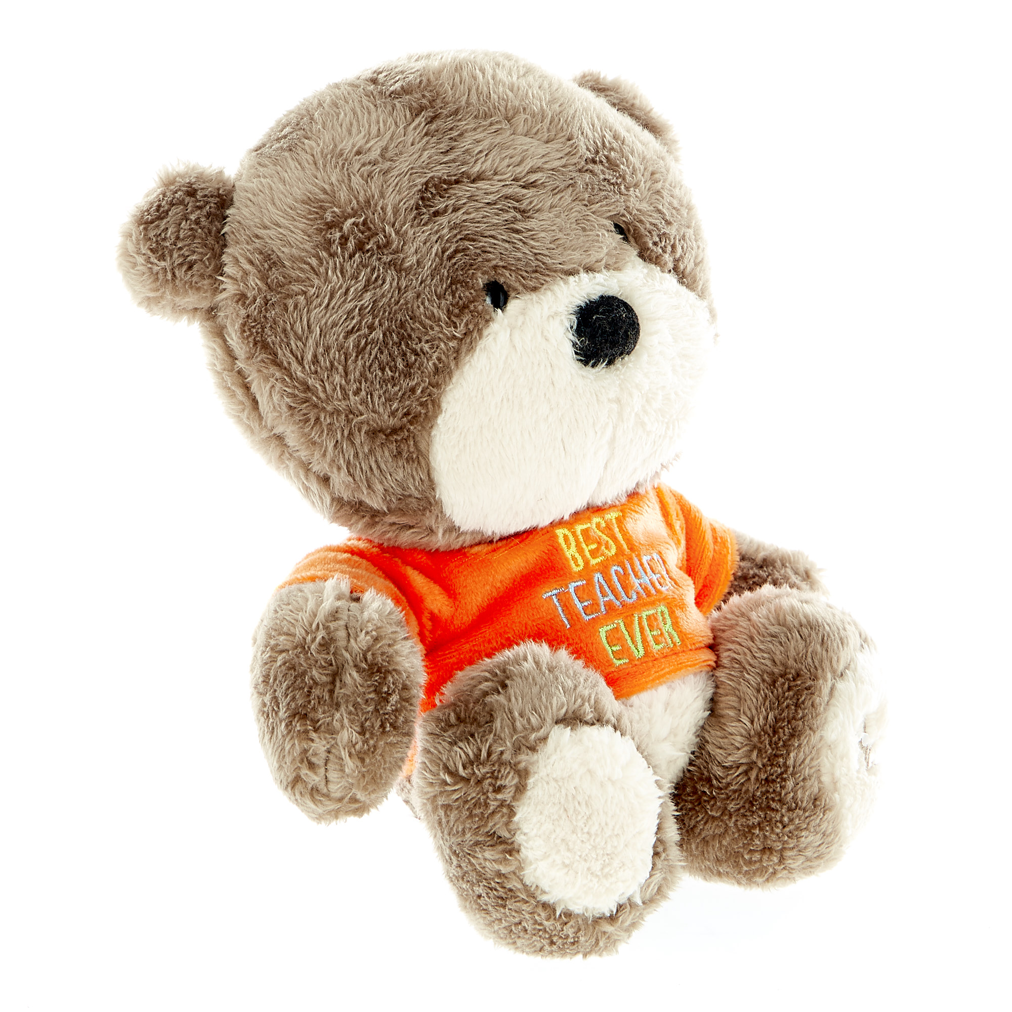 Hugs Bear Best Teacher Ever Soft Toy 