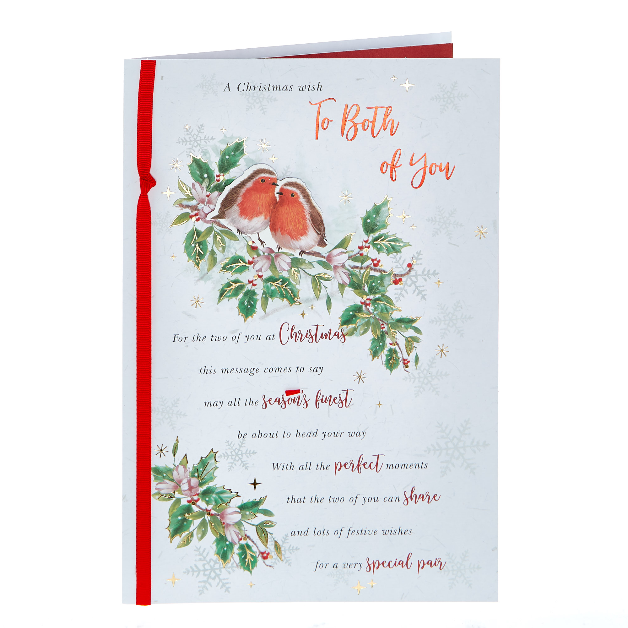 Christmas Card - Both of You Red Robins 