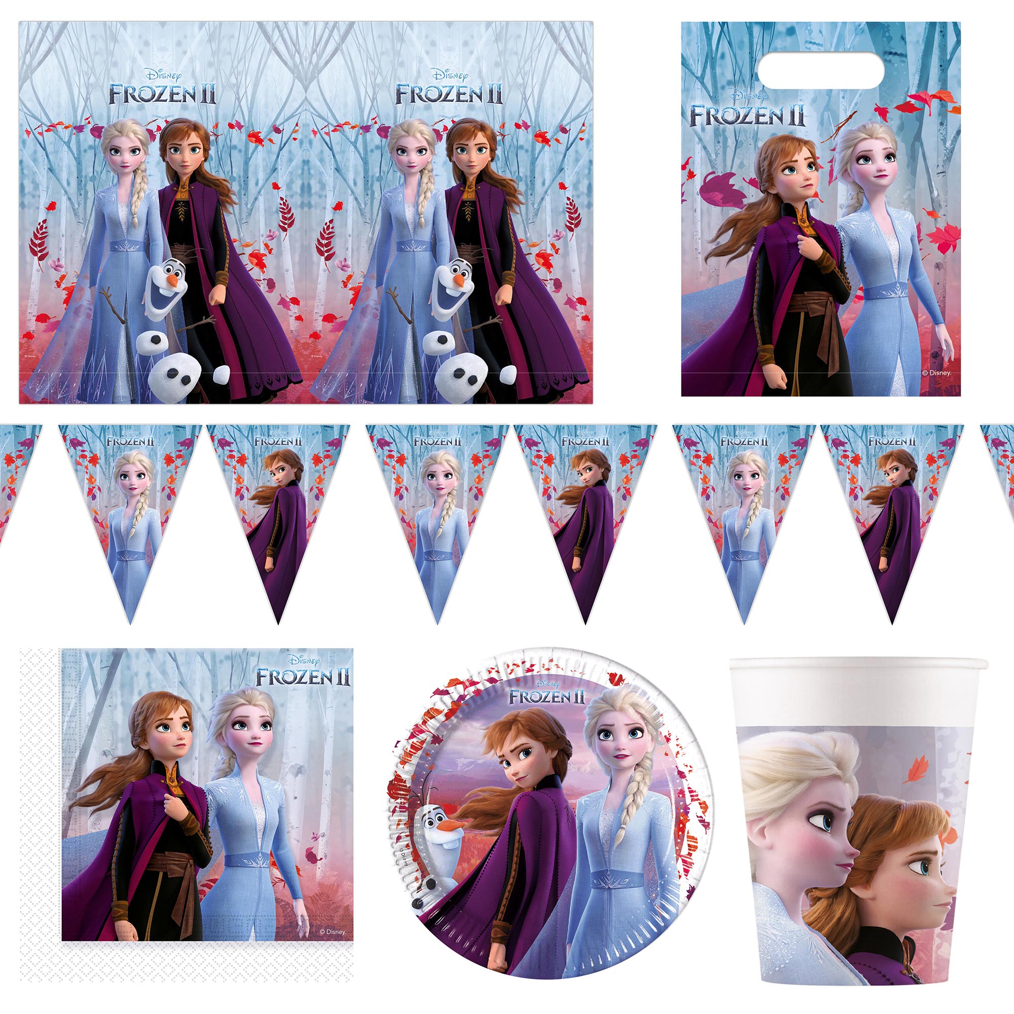 Frozen 2 Party Tableware & Decorations Bundle - 16 Guests