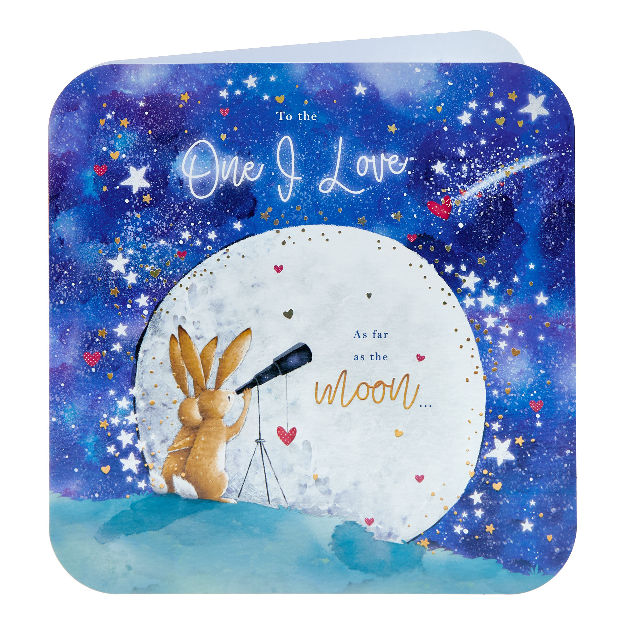 One I Love Bunnies & Moon Valentine's Day Card