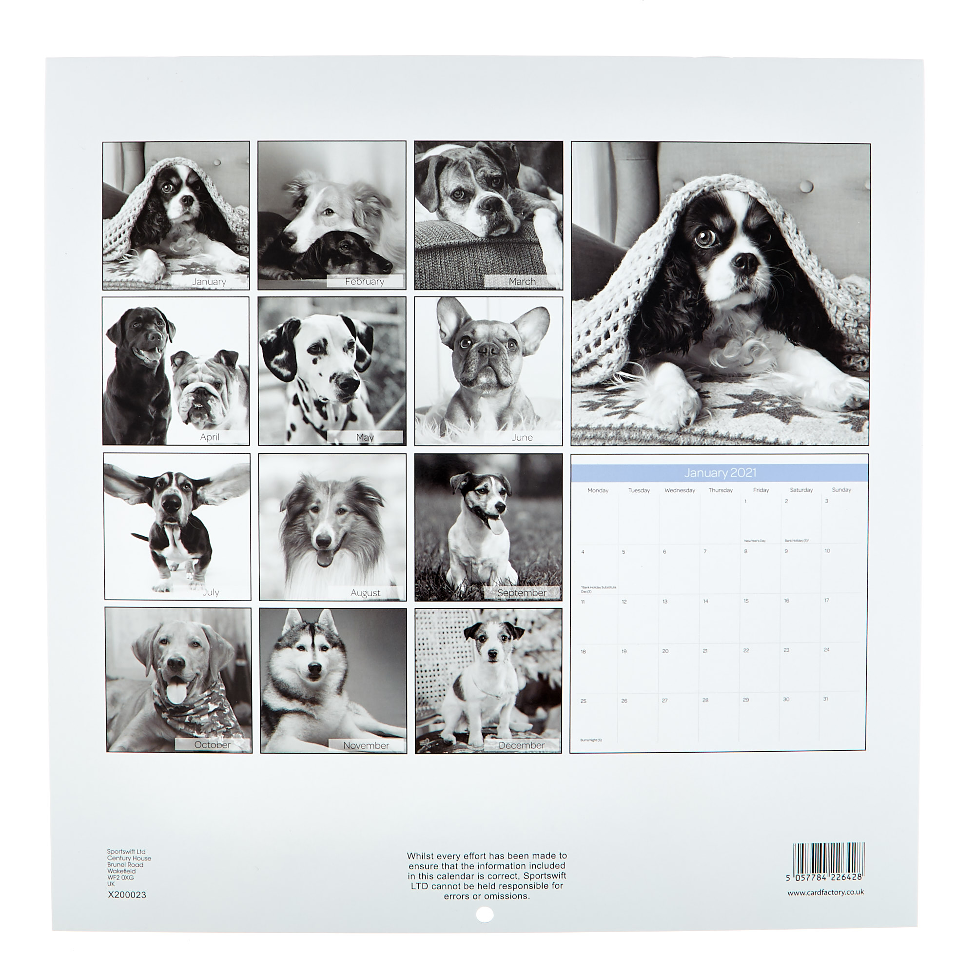 Dogs 2021 Calendar