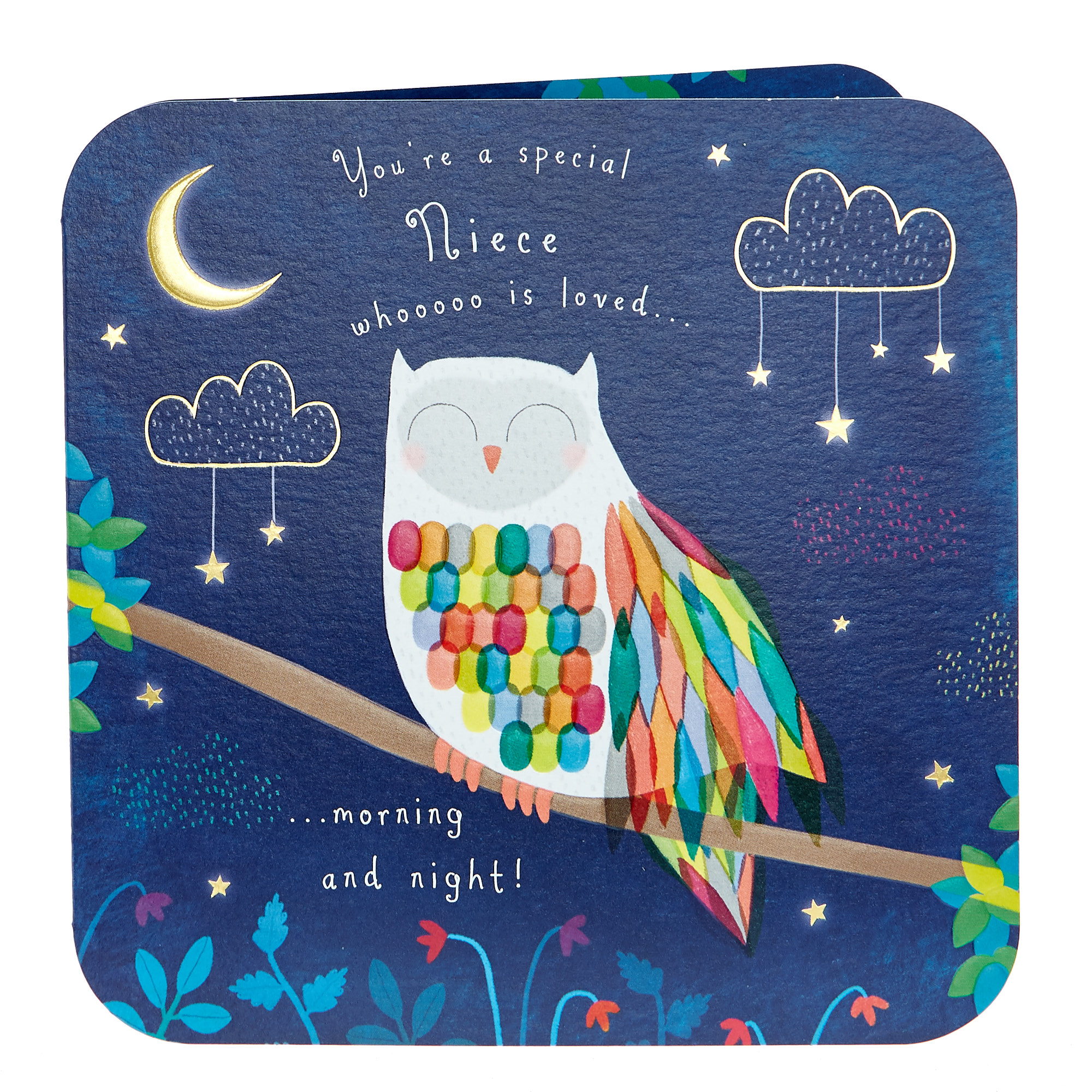 Birthday Card - Niece, Owl