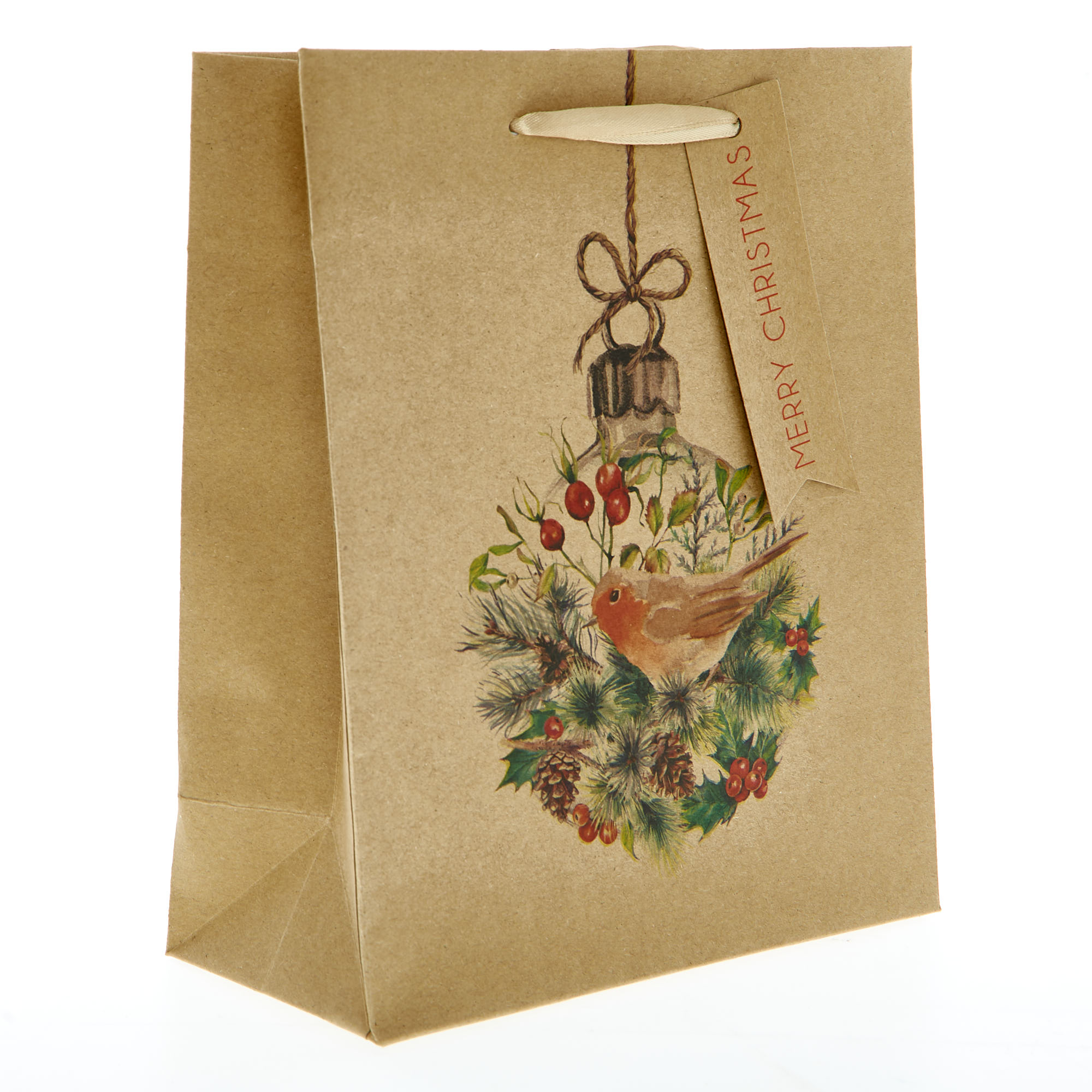 Buy Medium Recyclable Portrait Robin Christmas Gift Bag for GBP 1.29
