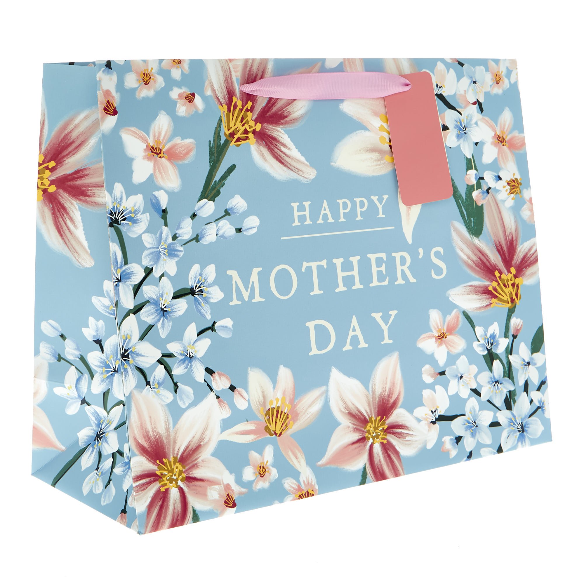 Buy Large Landscape Botanical Mother's Day Gift Bag for GBP 1.49 Card