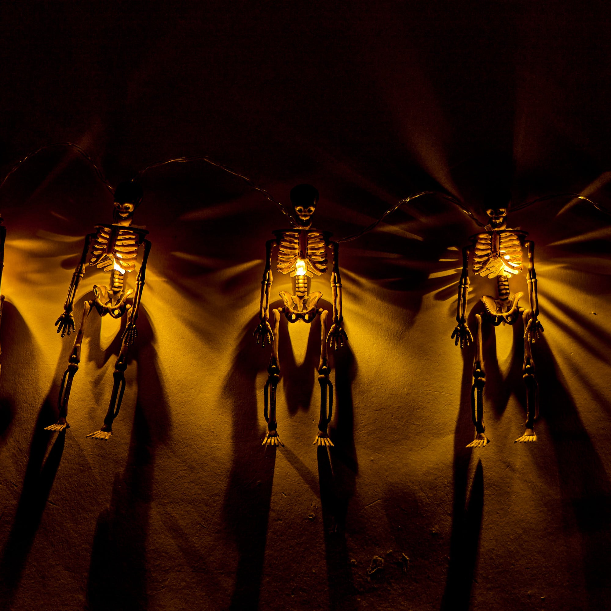 Skeleton String Lights