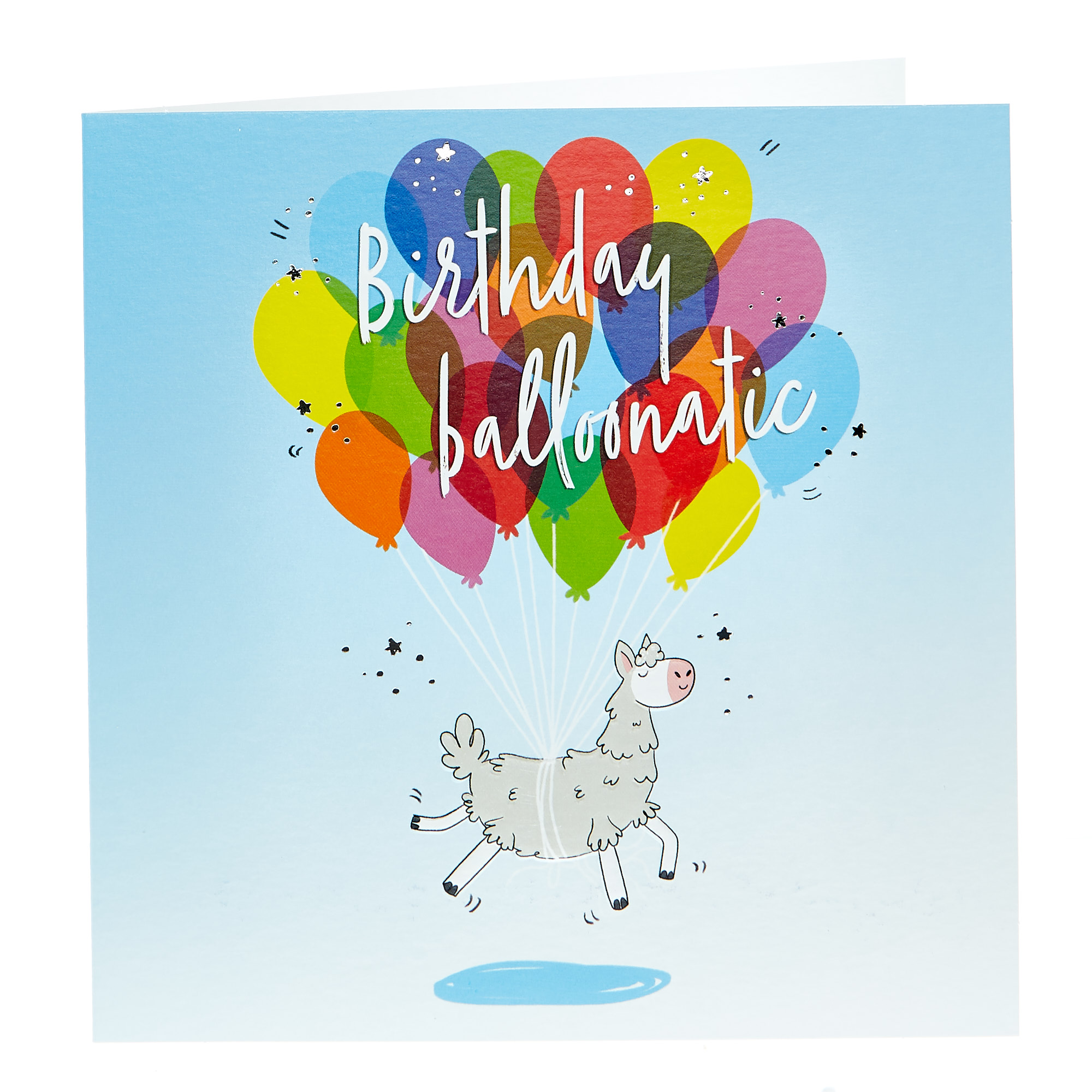 Birthday Card - Balloonatic Llama