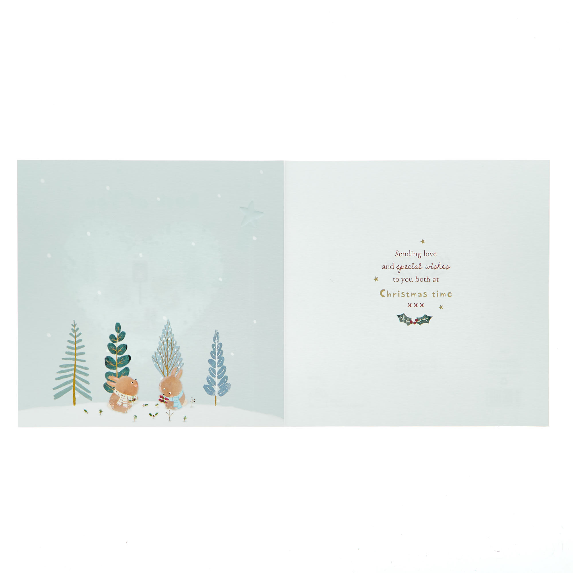 Christmas Card - To Both Cute Animals & Sleigh