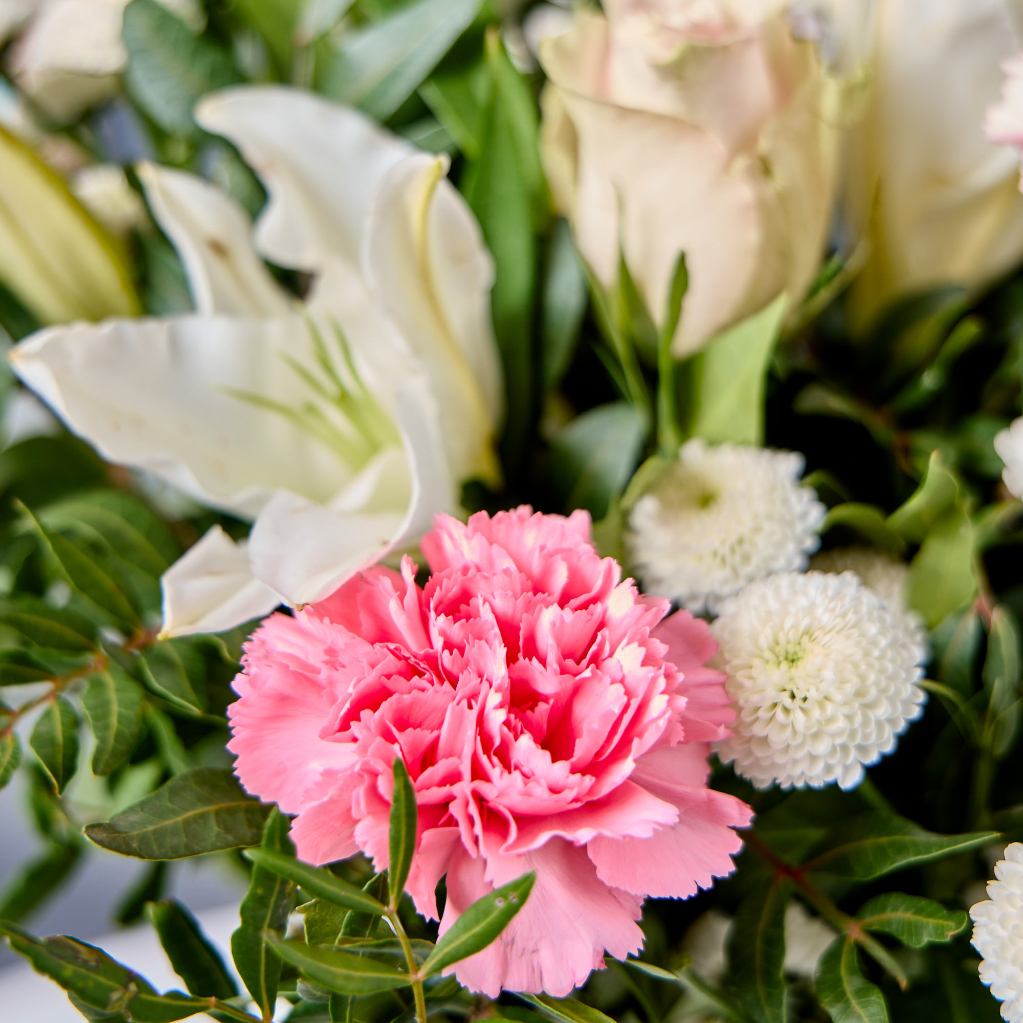 Blossoming Gifts Pink Purity Flower Bouquet - Free Delivery!