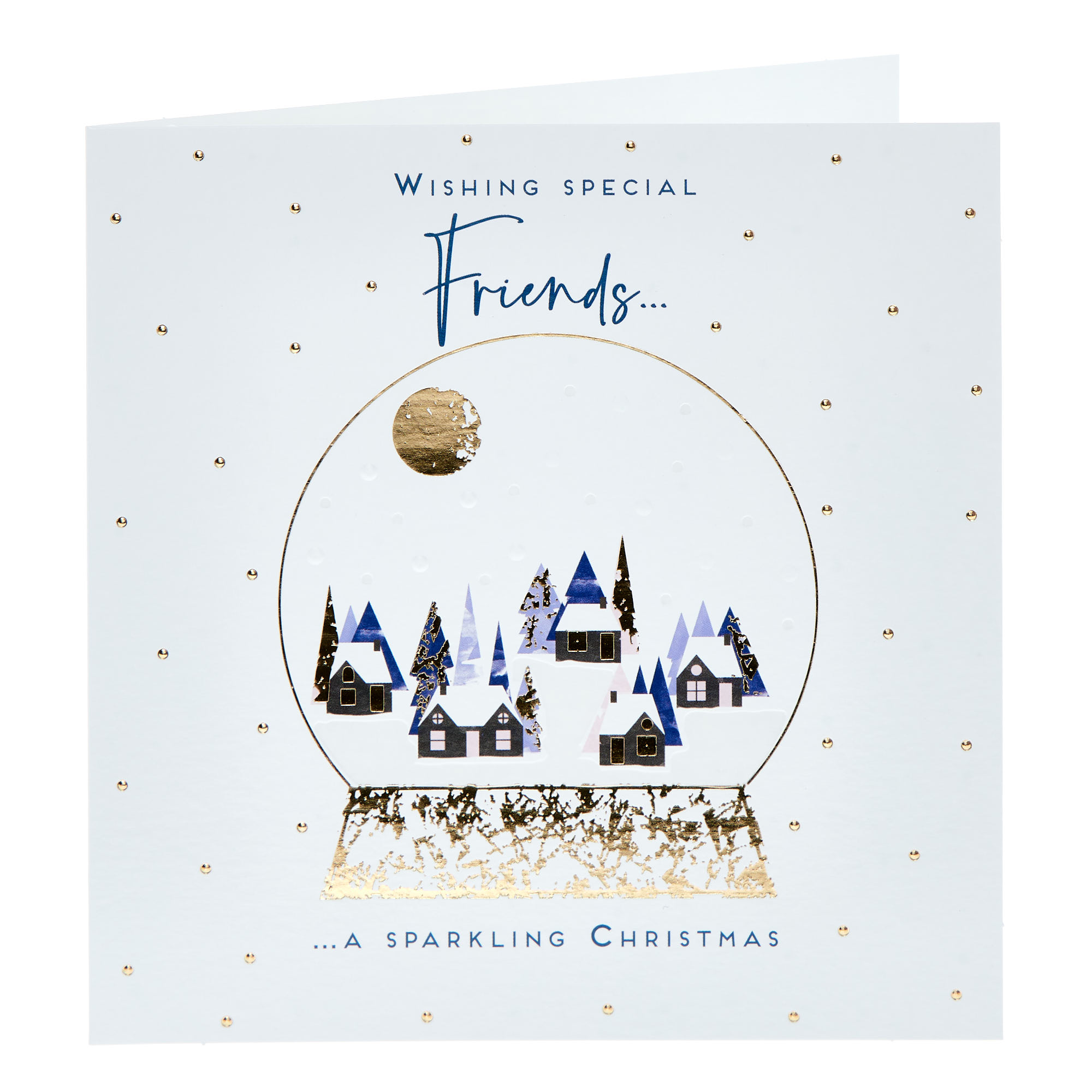Special Friends Snow Globe Christmas Card