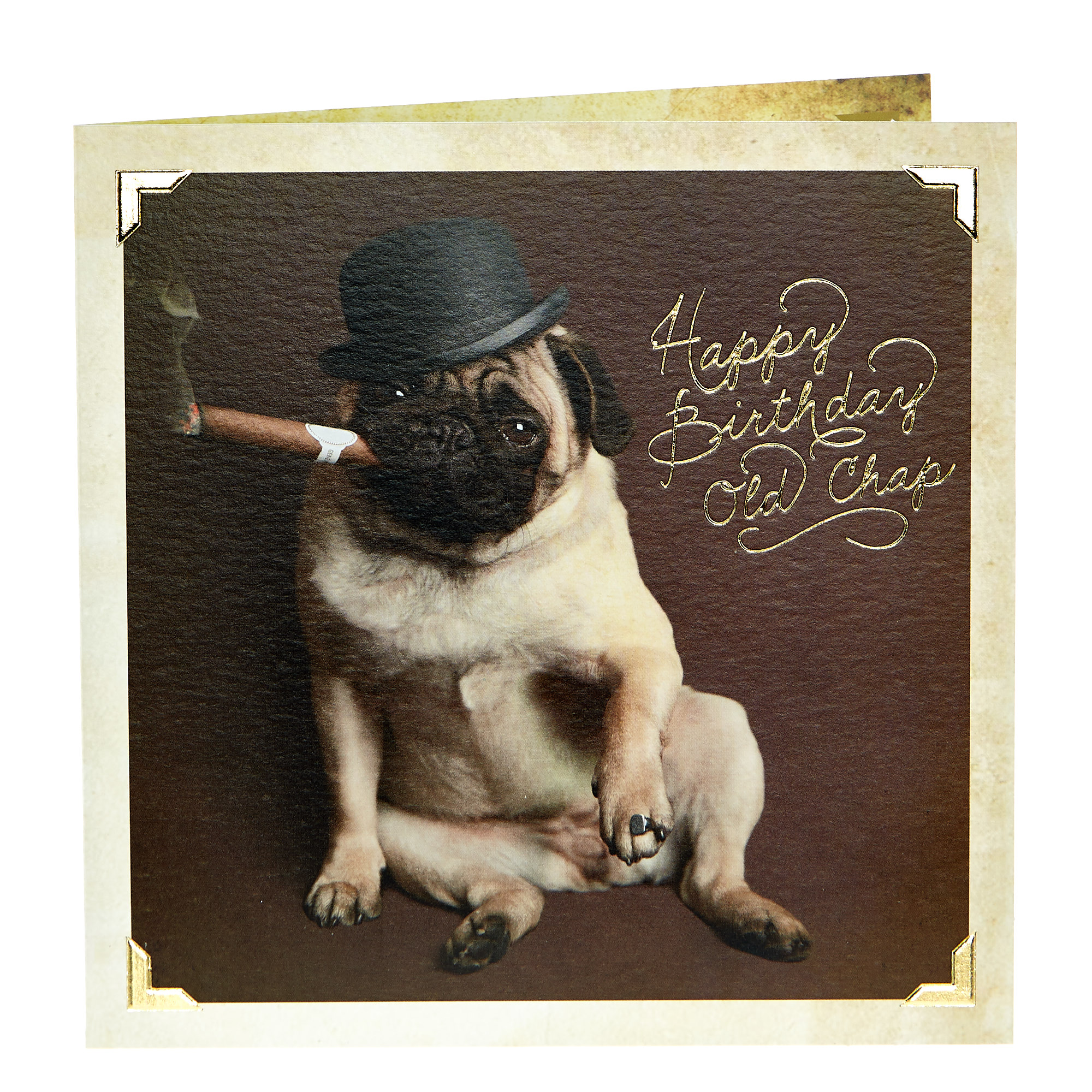 Birthday Card - Old Chap Pug