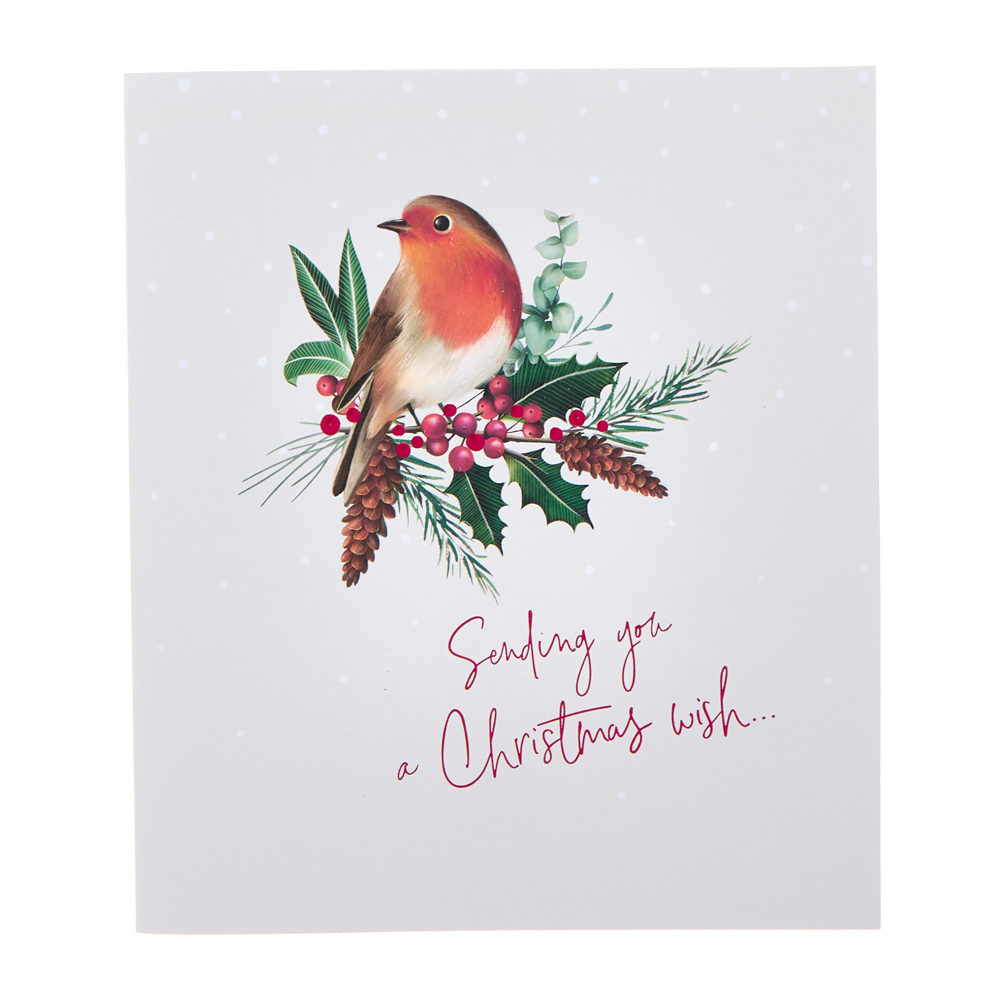 Premium Robin & Holly Christmas Cards - Pack of 10 (2 Designs)
