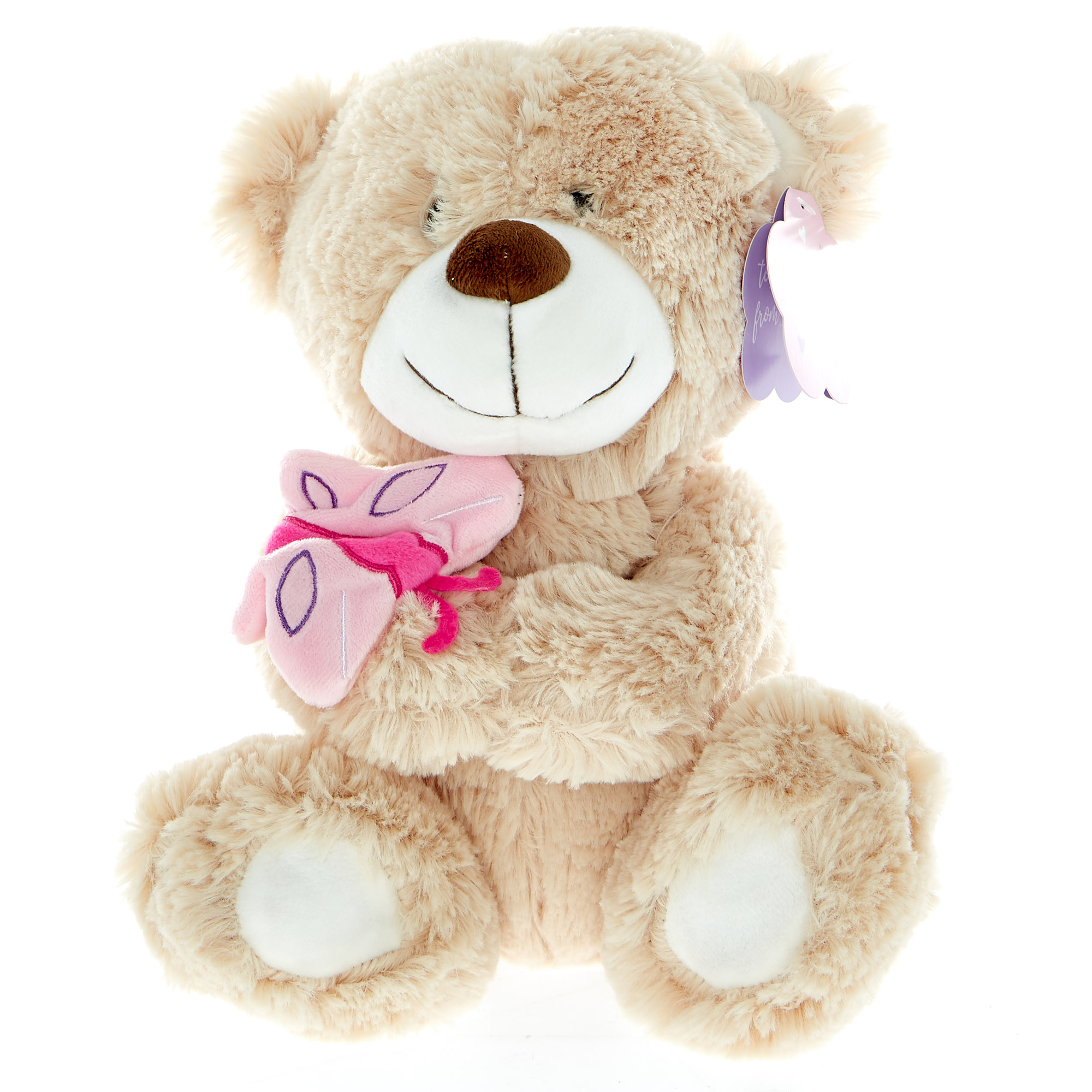 Bear With Butterfly Soft Toy 