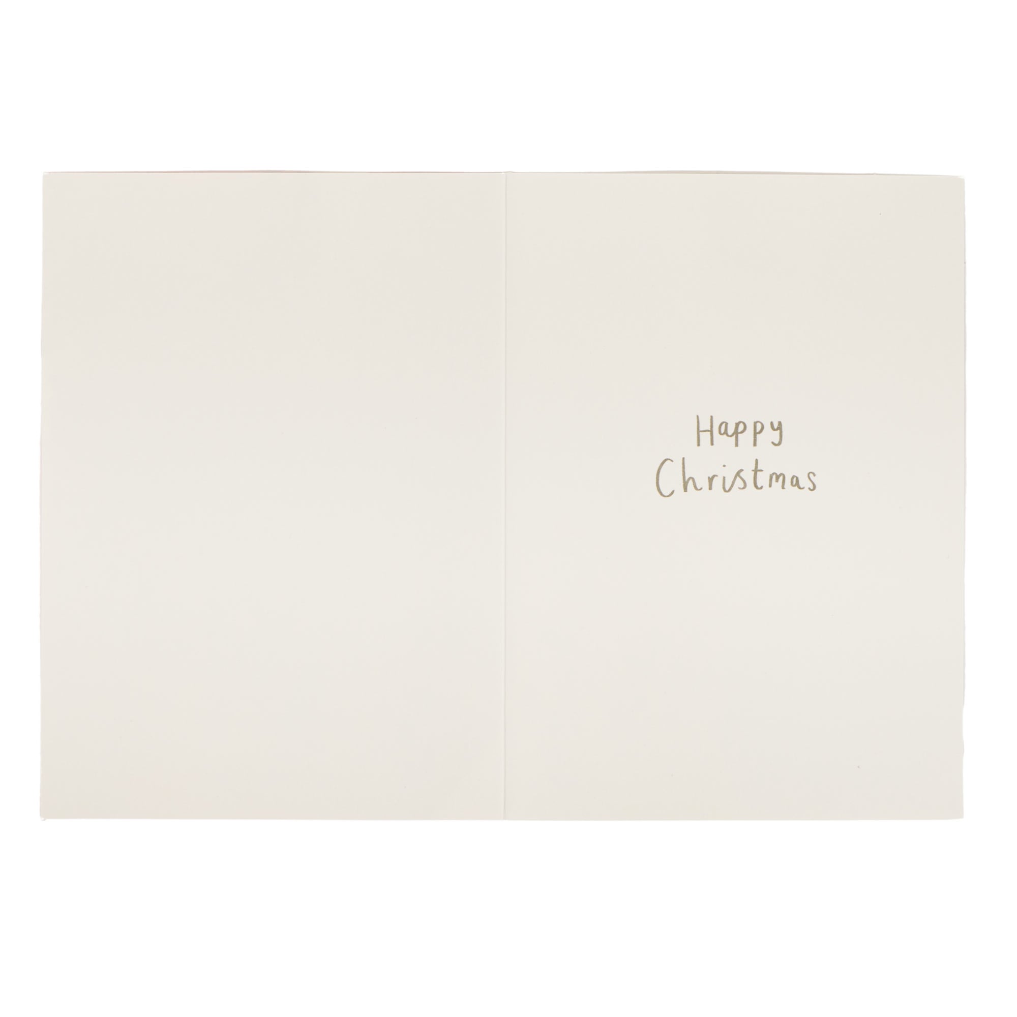 10 Portrait Santa Paws Charity Christmas Cards