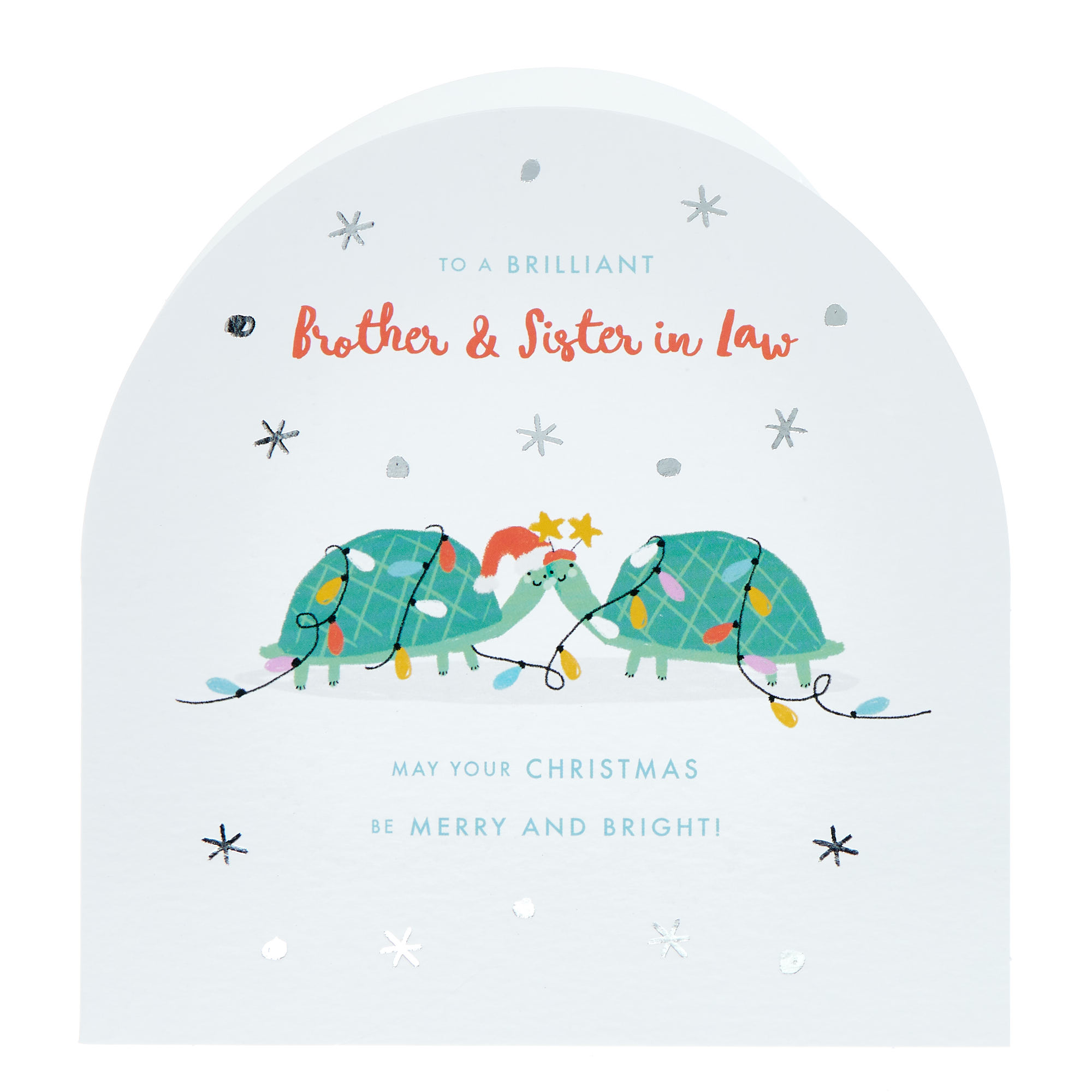 Brother & Sister In Law Turtles Christmas Card