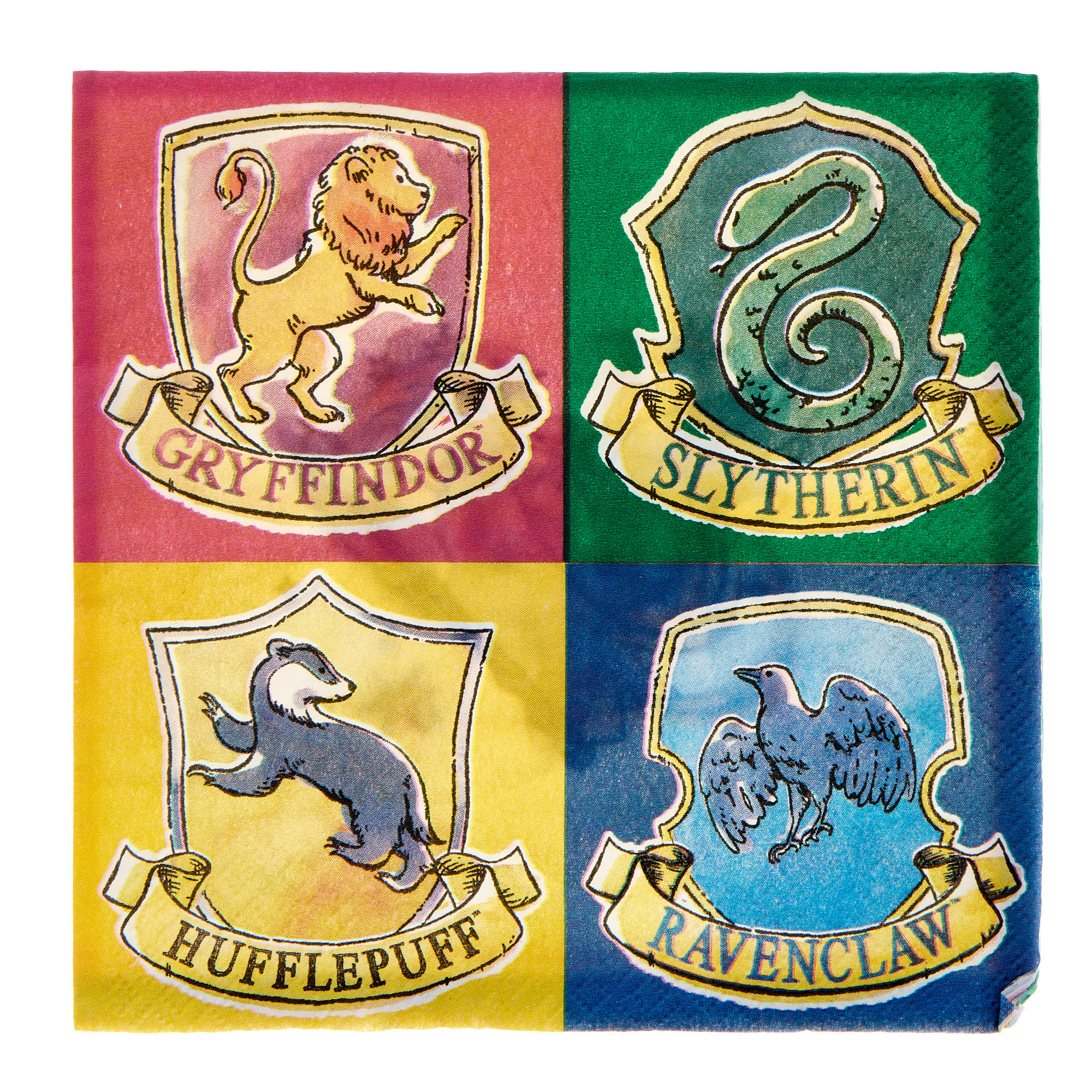 Harry Potter Party Tableware Bundle - 16 Guests