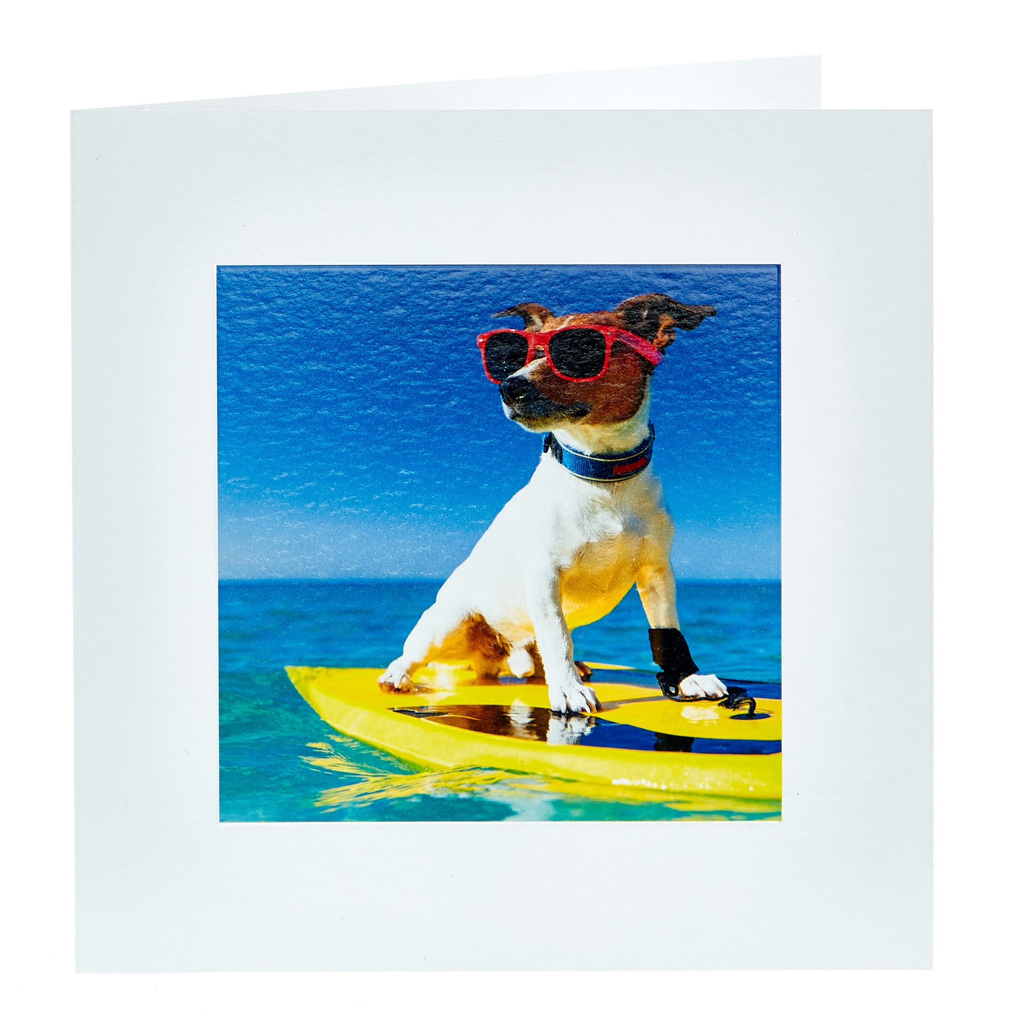 Any Occasion Card - Surfing Dog