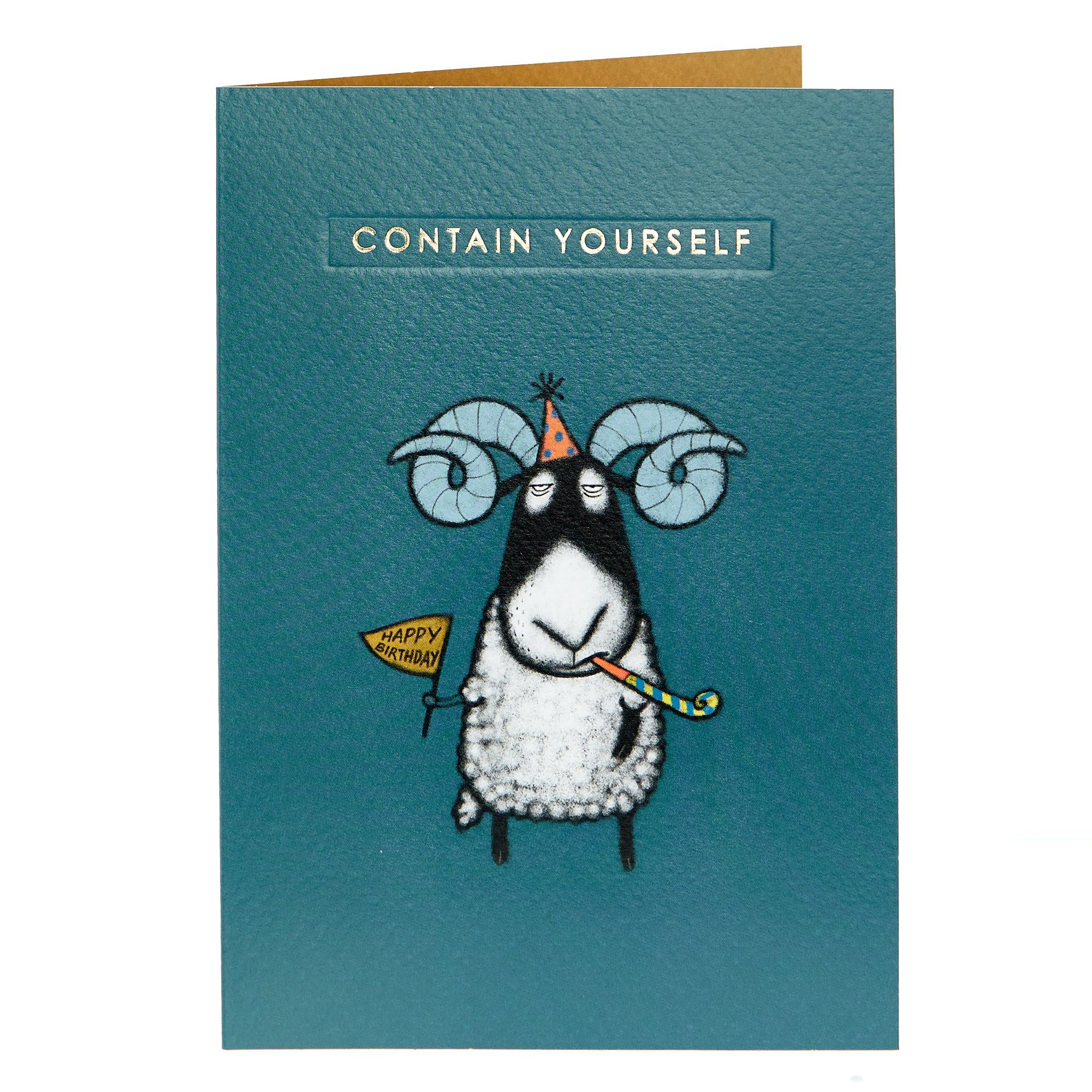 Birthday Card - Contain Yourself 