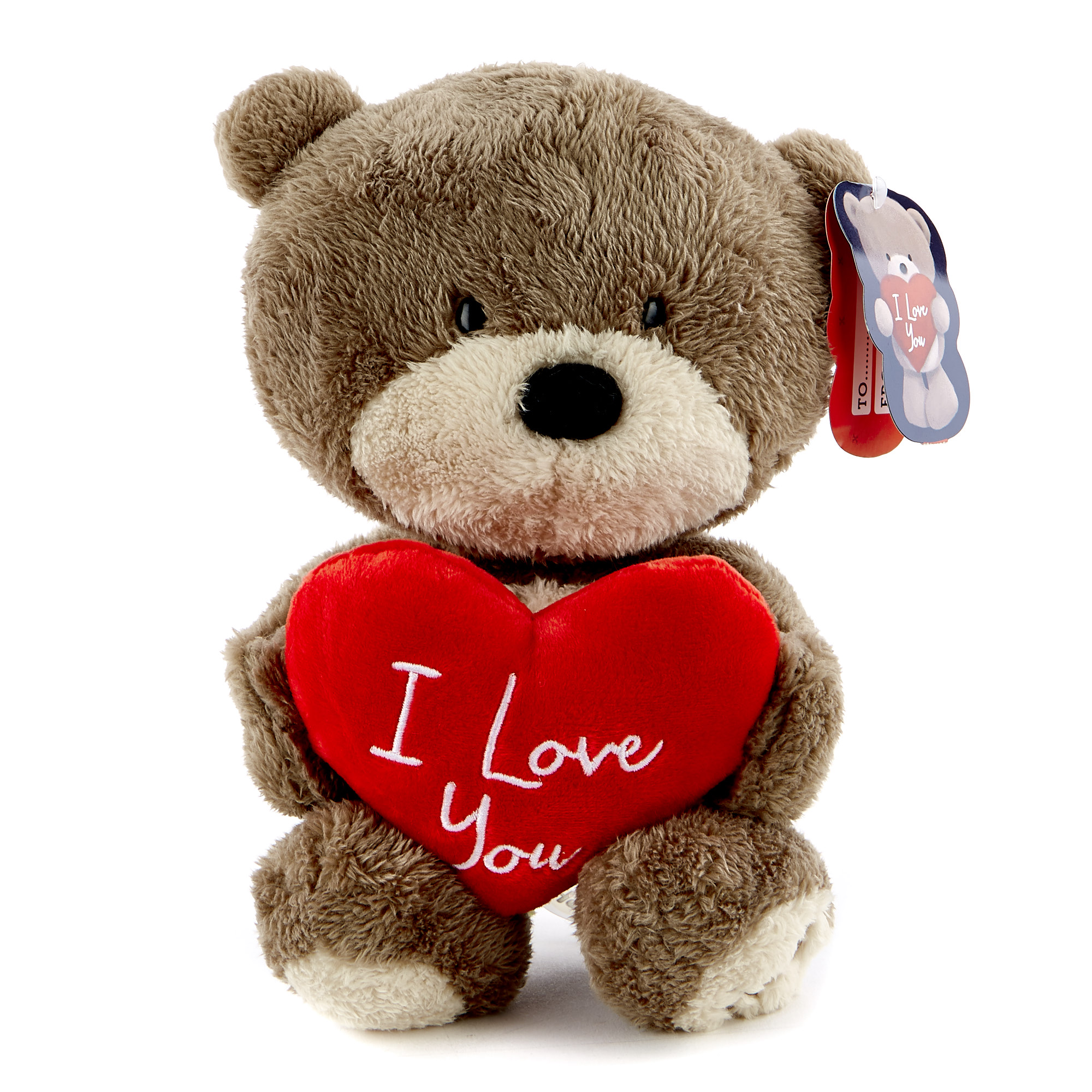 Hugs Bear Valentine's Day Soft Toy - I Love You