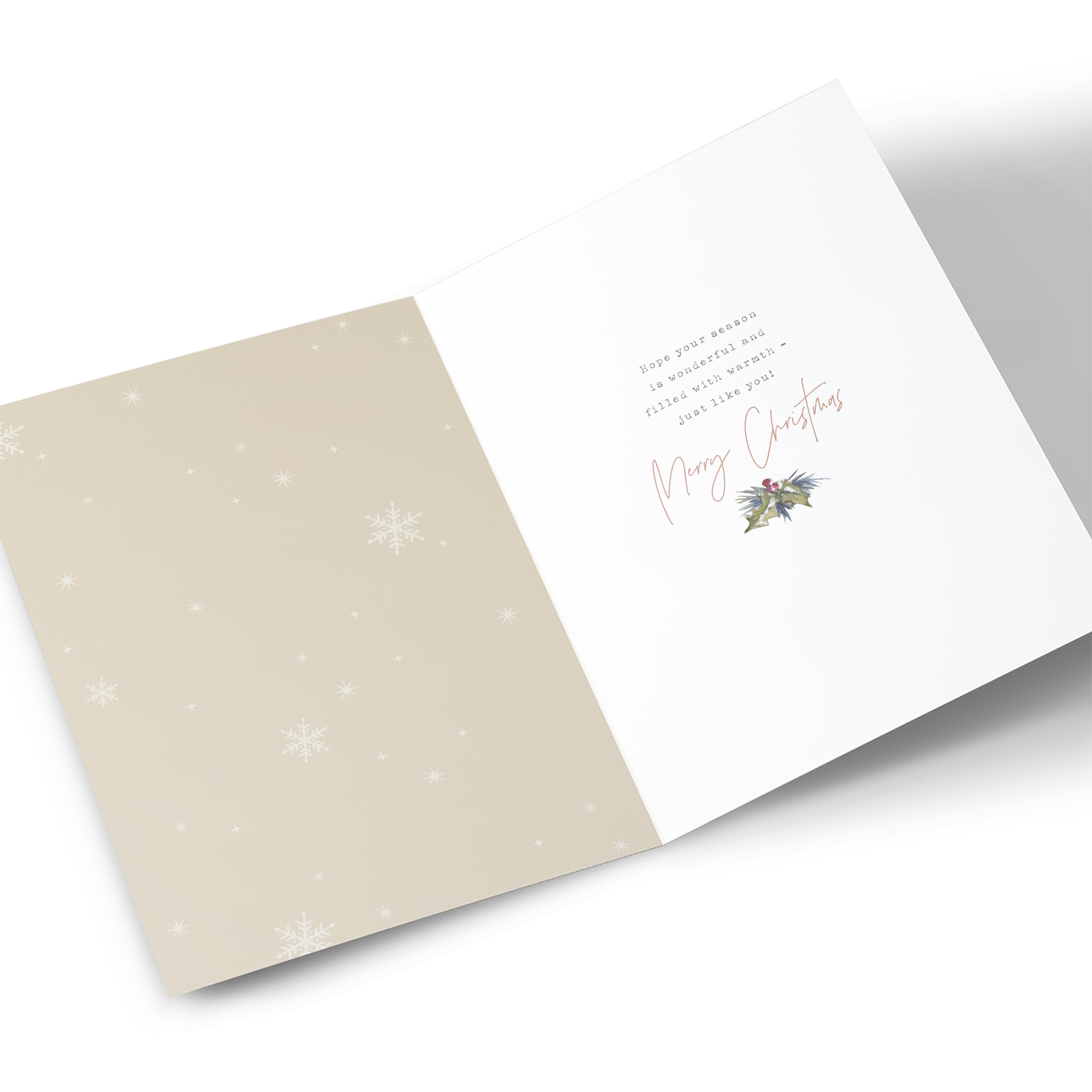 Christmas Card - Snowy Donkey and Robin, Nan