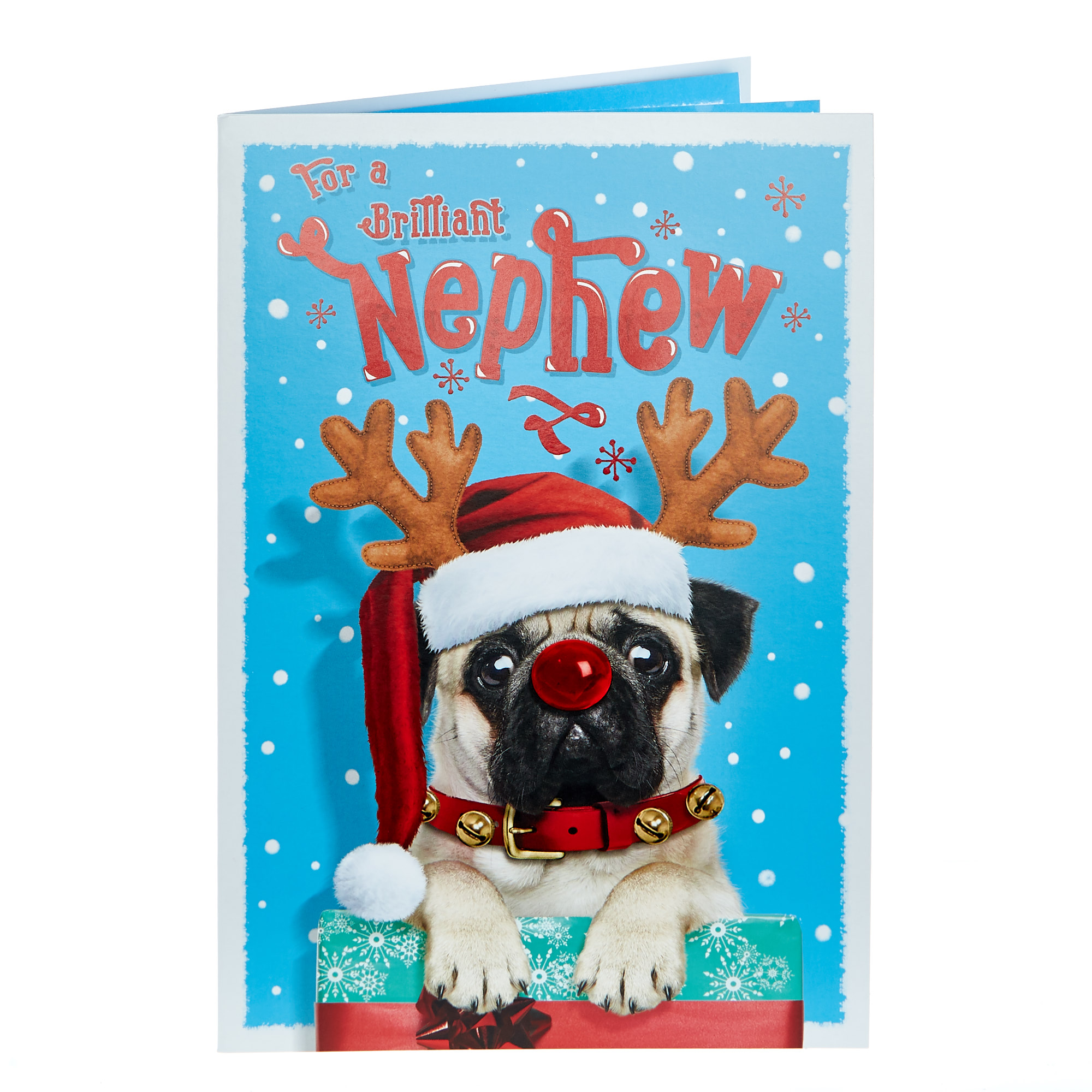Christmas Card - Brilliant Nephew Pug