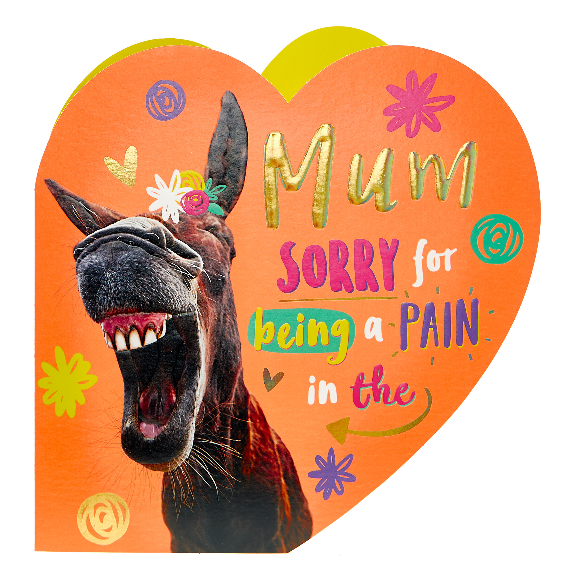 Mother's Day Card - Mum Sorry For Being A Pain...