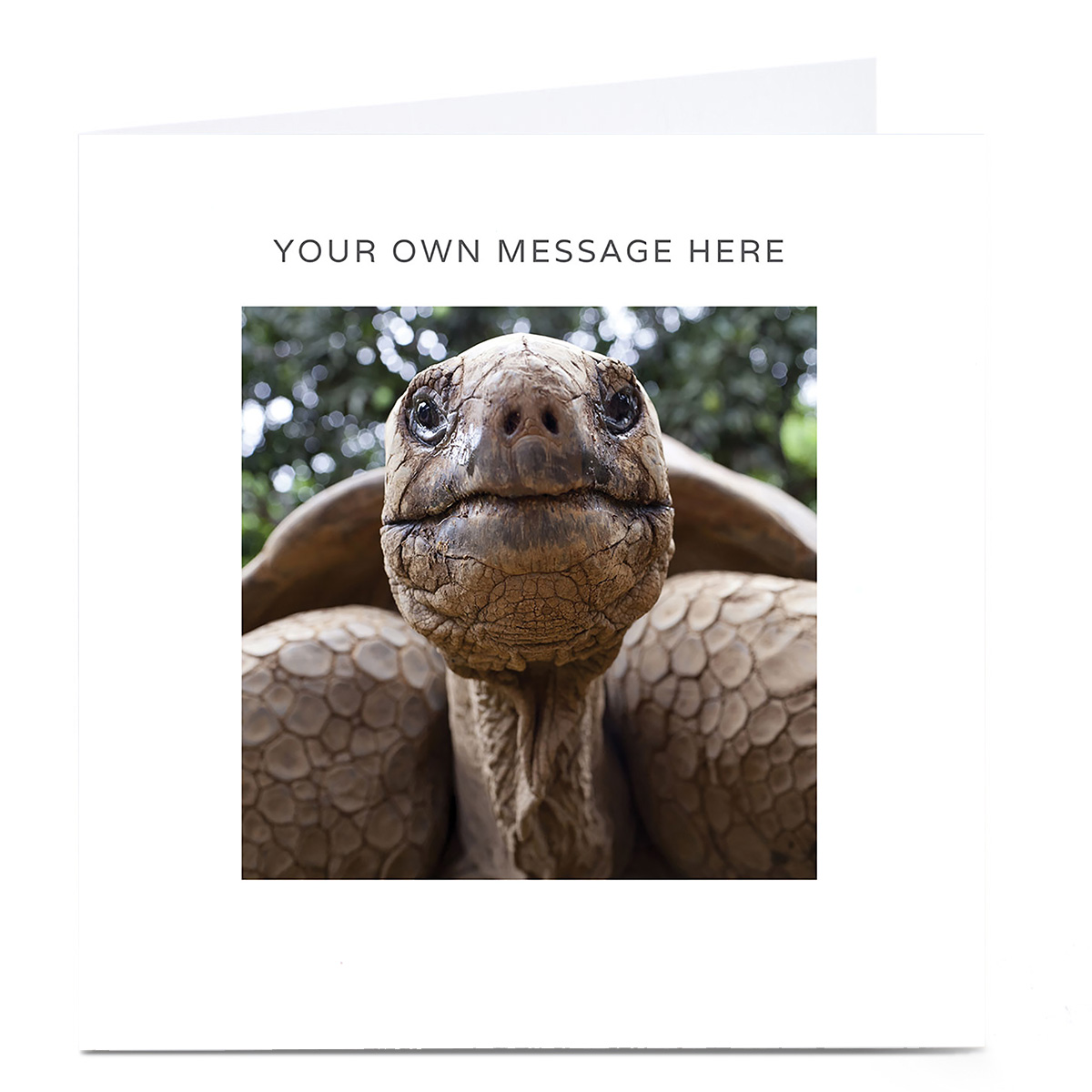 Personalised Card - Tortoise